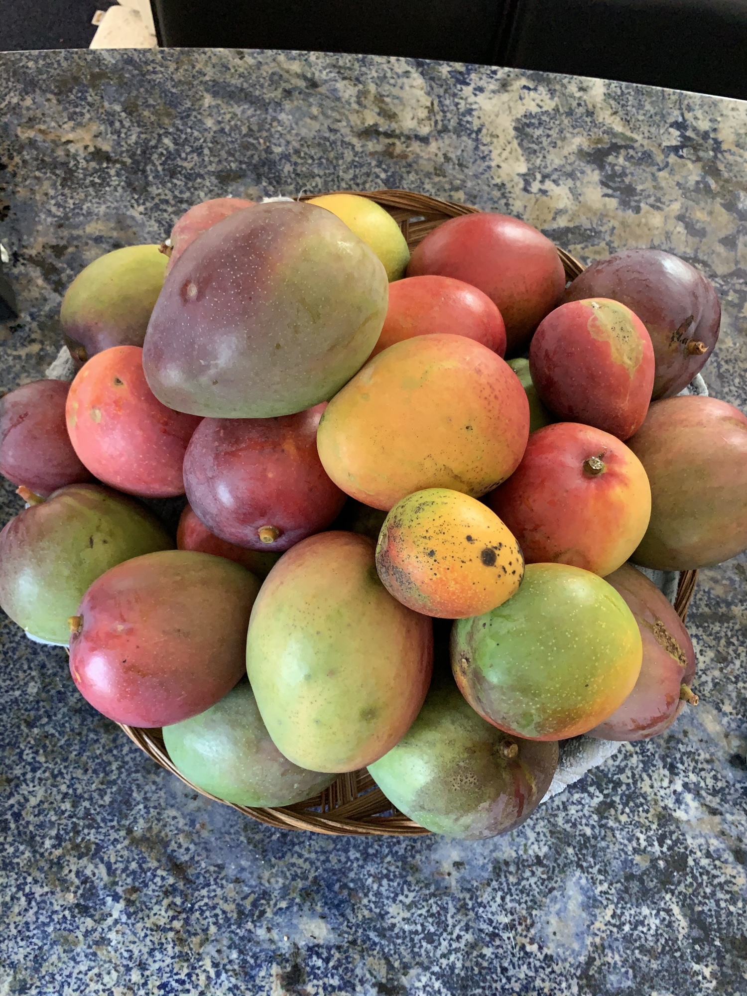 Mangoes on Michel's counter.