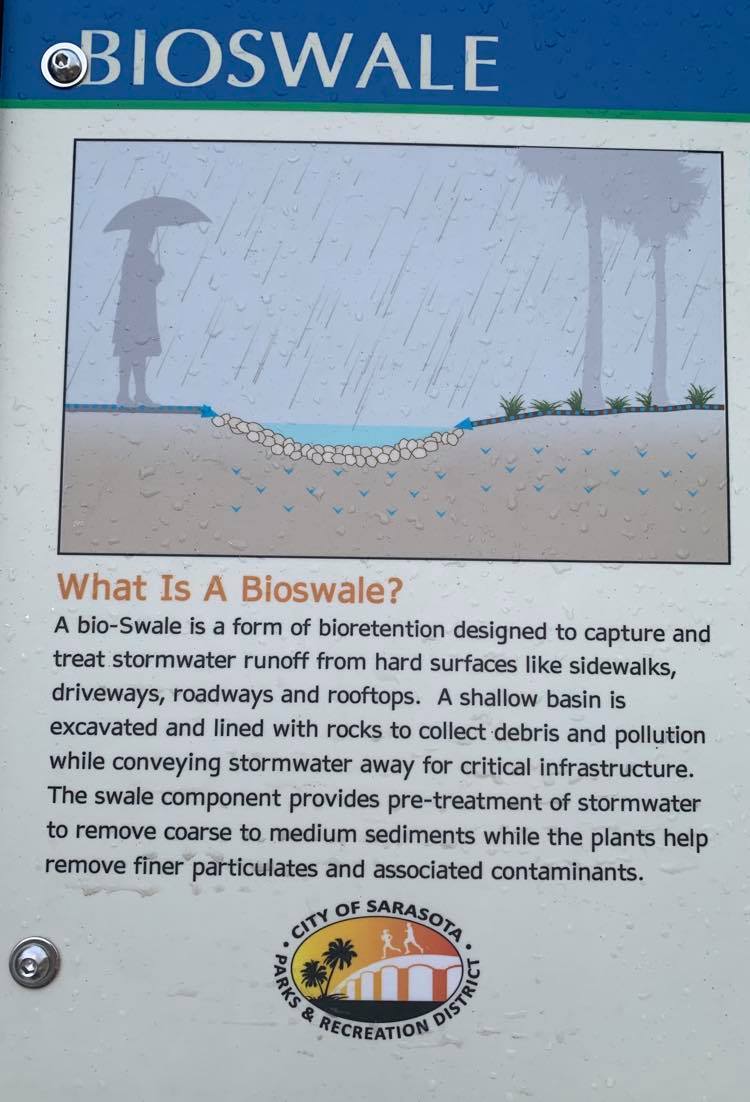 A sign at Bayfront Park in the city of Sarasota explains the purpose of a bioswale.