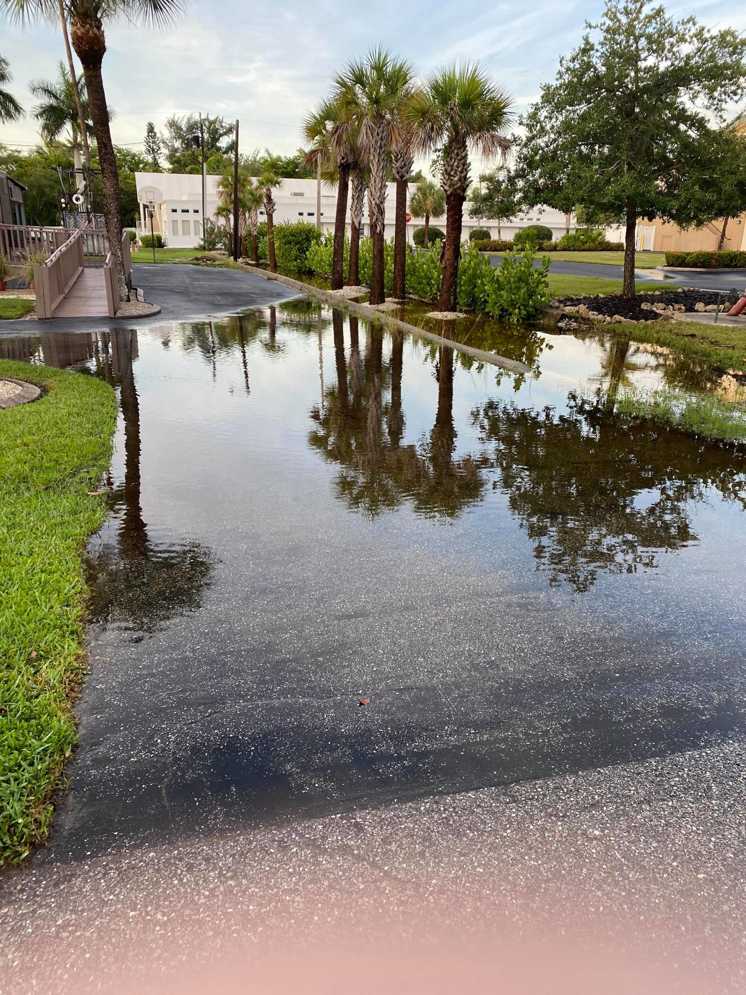 The bioswale between Ross Toussaint's property and Christ Church of Longboat Key was filled with stormwater runoff on July 25. It overflowed onto Toussaint's property. Photo Credit: Ross Toussaint