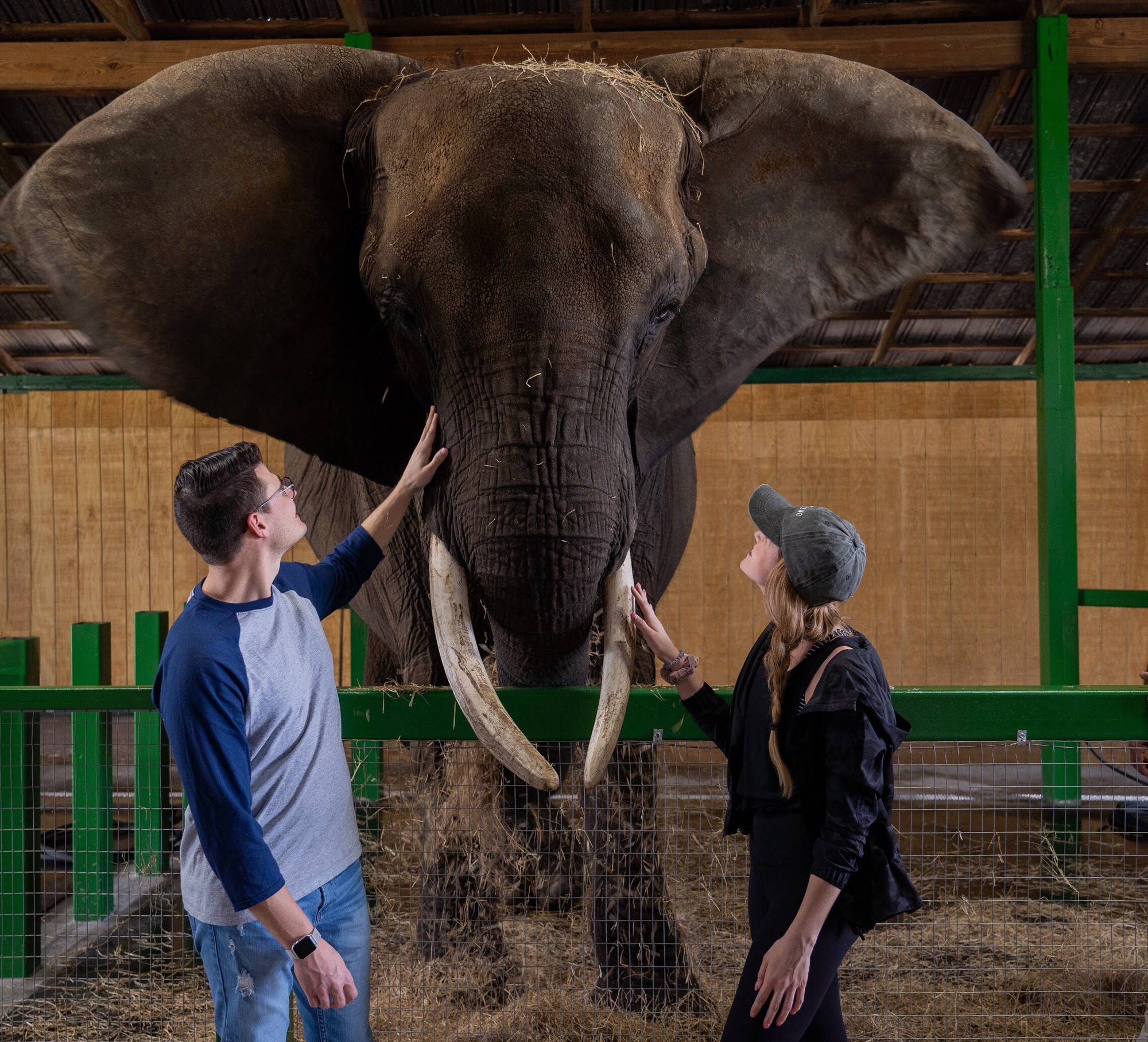 Myakka Elephant Ranch visitors MacGregor Monroe and Alea Dellecave enjoy interacting with one of the elephants on the ranch. Courtesy photo.