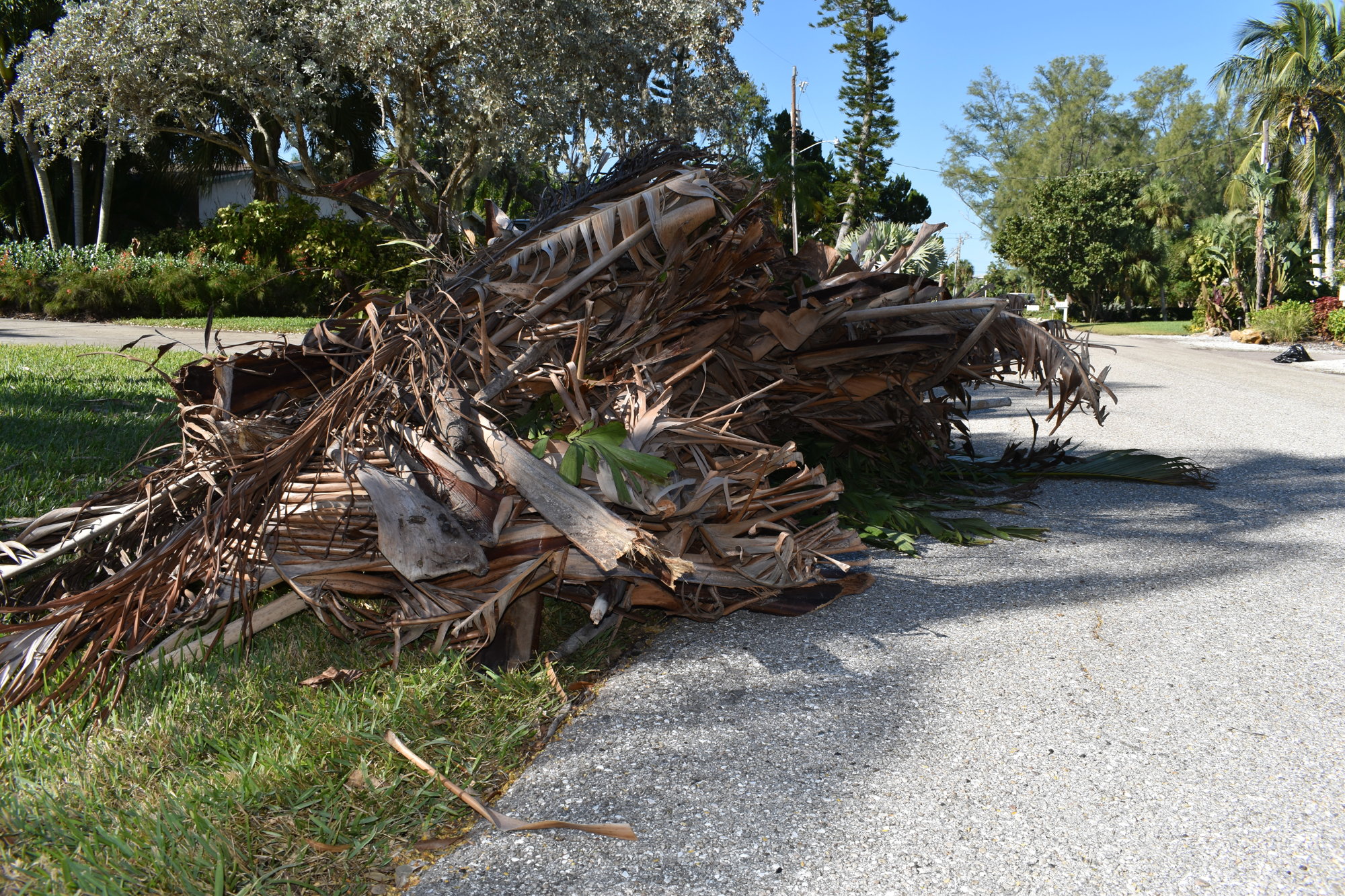 Homes along Buttonwood Drive had debris and downed tree limbs lining the streets Wednesday morning for pickup.