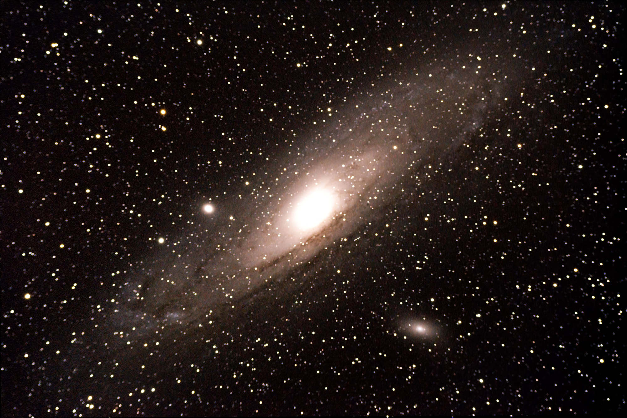 The town of Longboat Key shared Richard Schoepfer’s picture of the Andromeda Galaxy on its Facebook page.