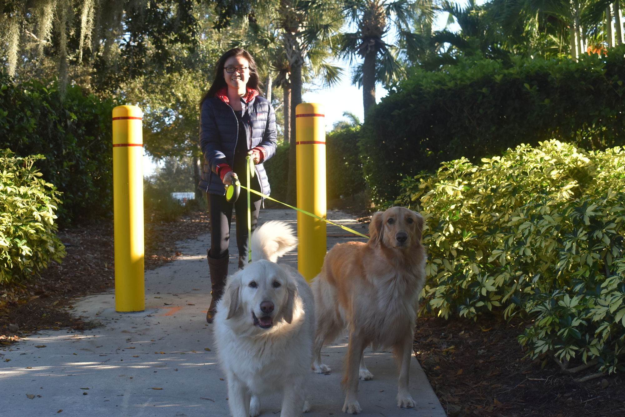 Claudia Lam, who lives in Greenbrook, walks golden retrievers Thor and Luna through the bollards on the Greenbrook nature trail by Adventure Place. The bollards were installed in November.