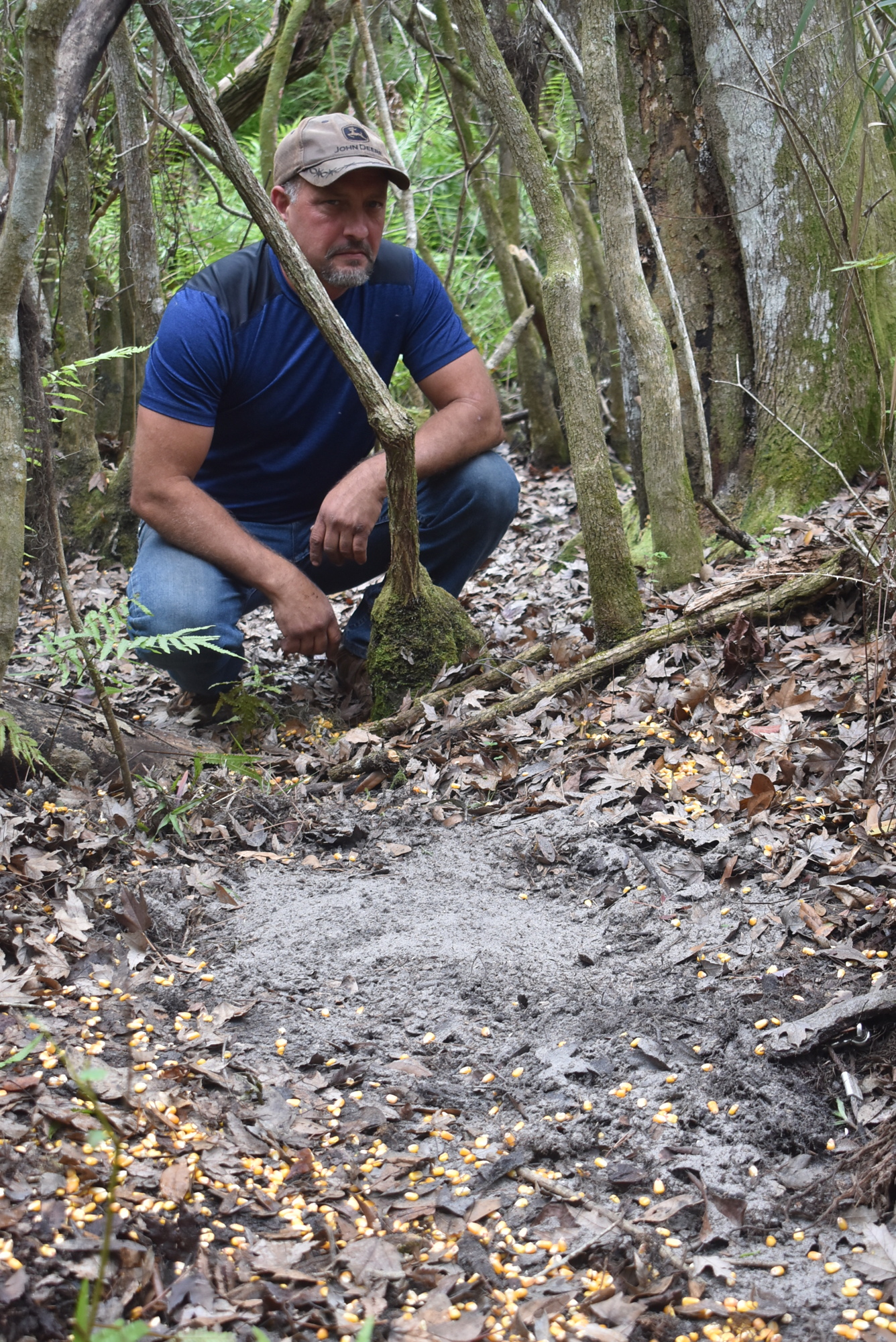 Pig trapper Juan Trevino inspects his work after completing a power snare trap, which is covered by dirt and surrounded by corn to attract pigs.