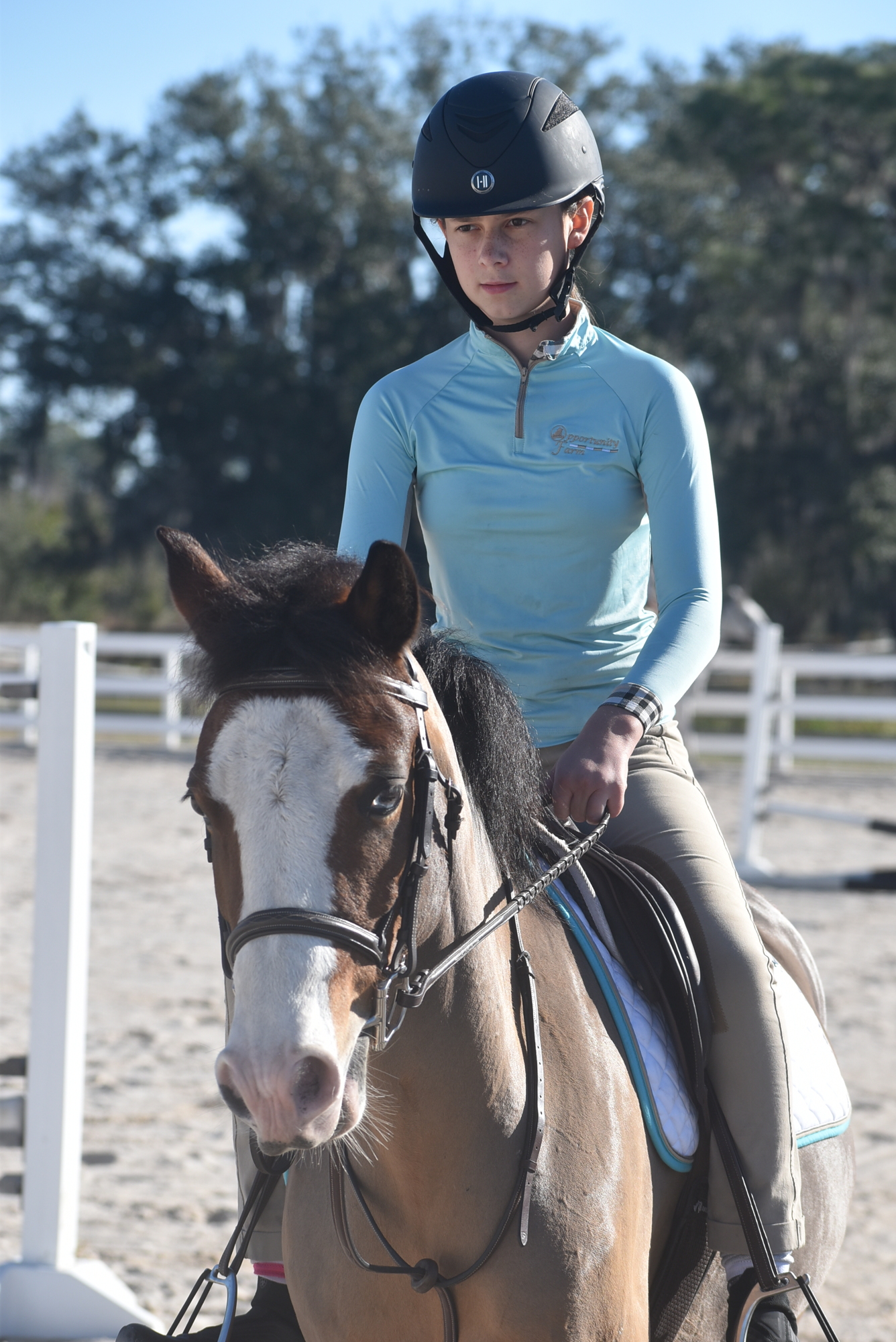 13-year-old Rose Rayner, daughter of Opportunity Farm owner Erin Rayner, practices her jumping on 12-year-old Marcus.