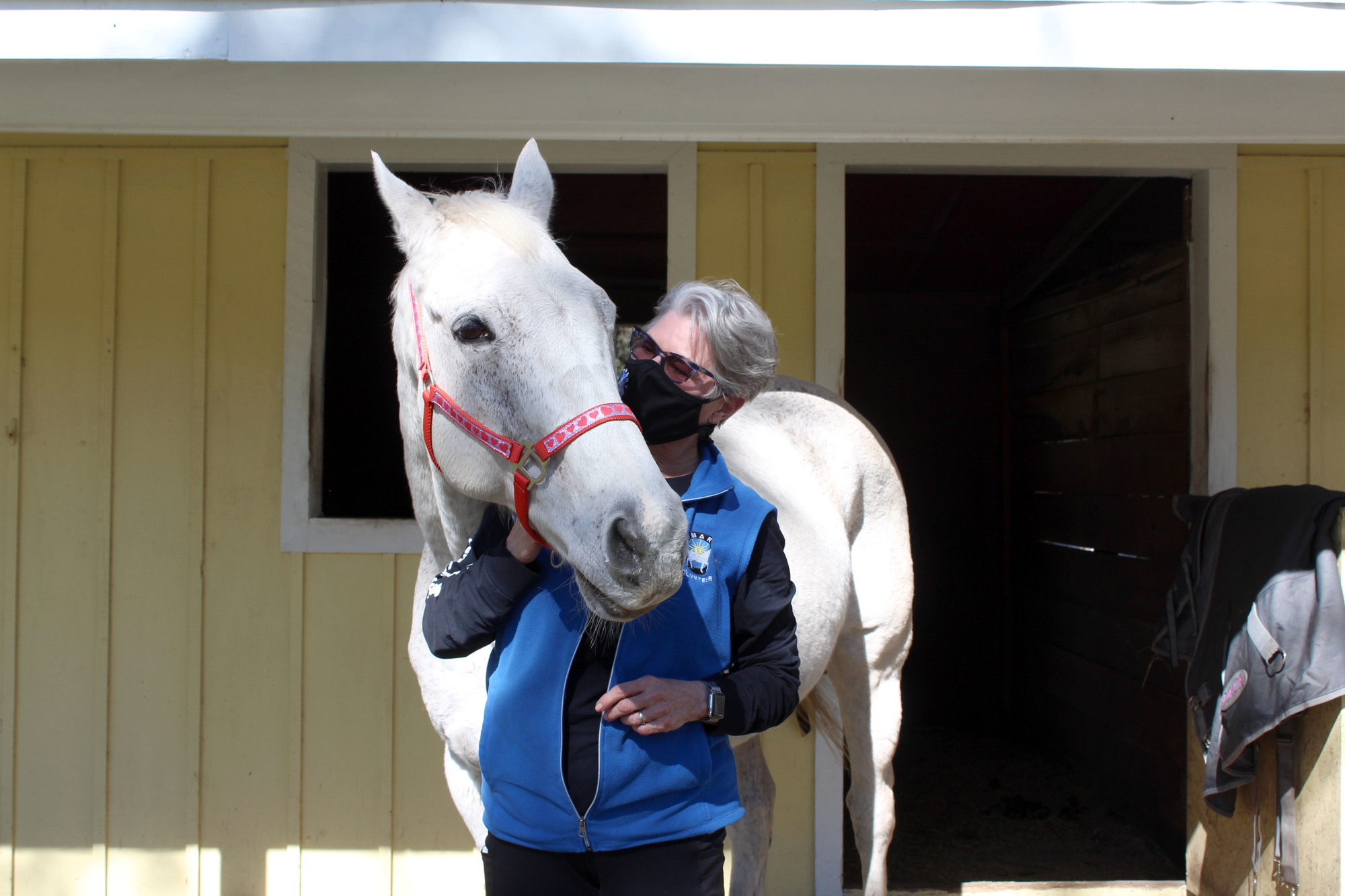 Terri Arnold, a volunteer coordinator of SMART, said horses are nonjudgmental and can help clients with anxiety.