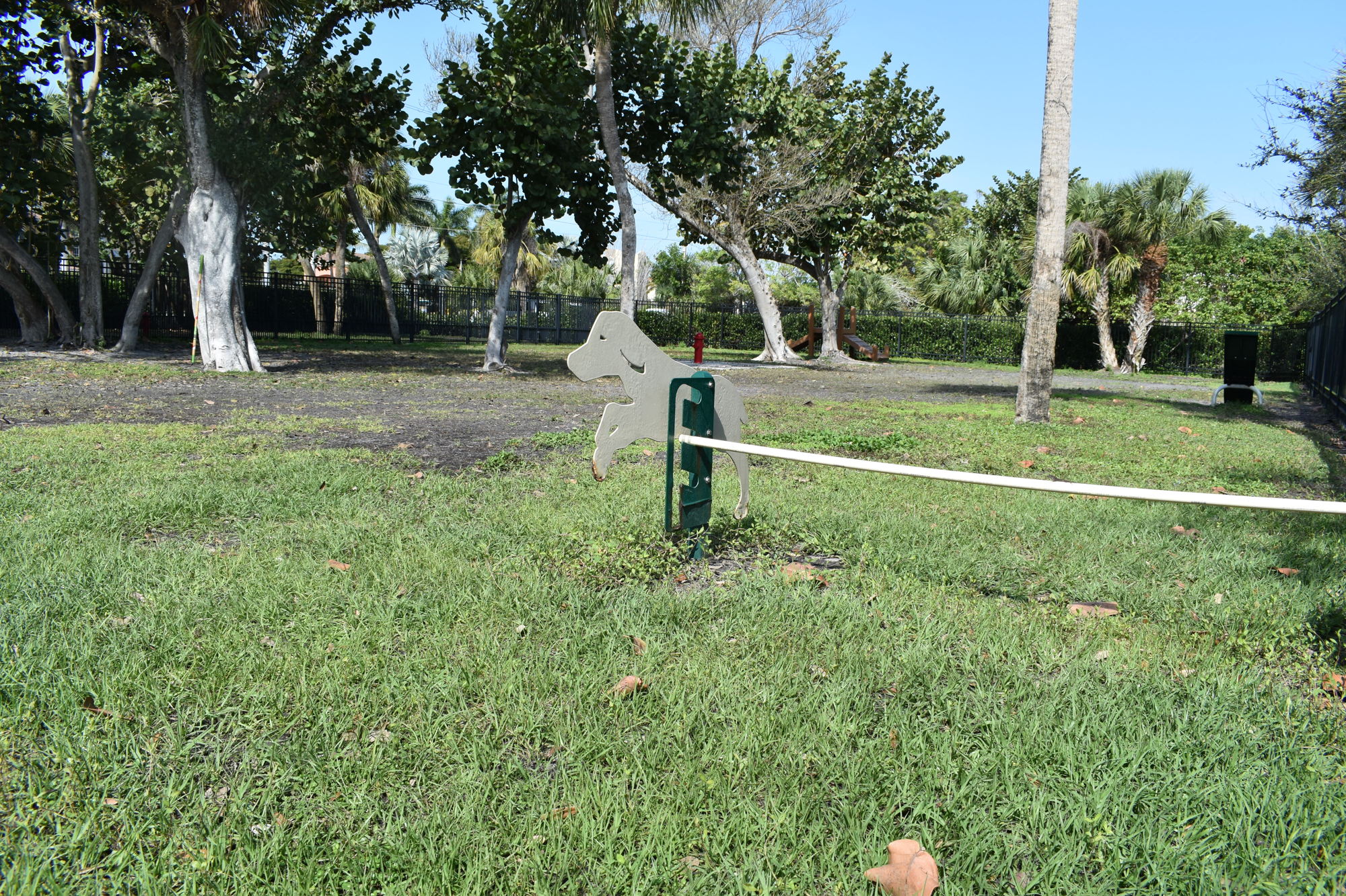 Bayfront Park’s dog park is the only place on Longboat Key where dogs can legally roam unleashed.