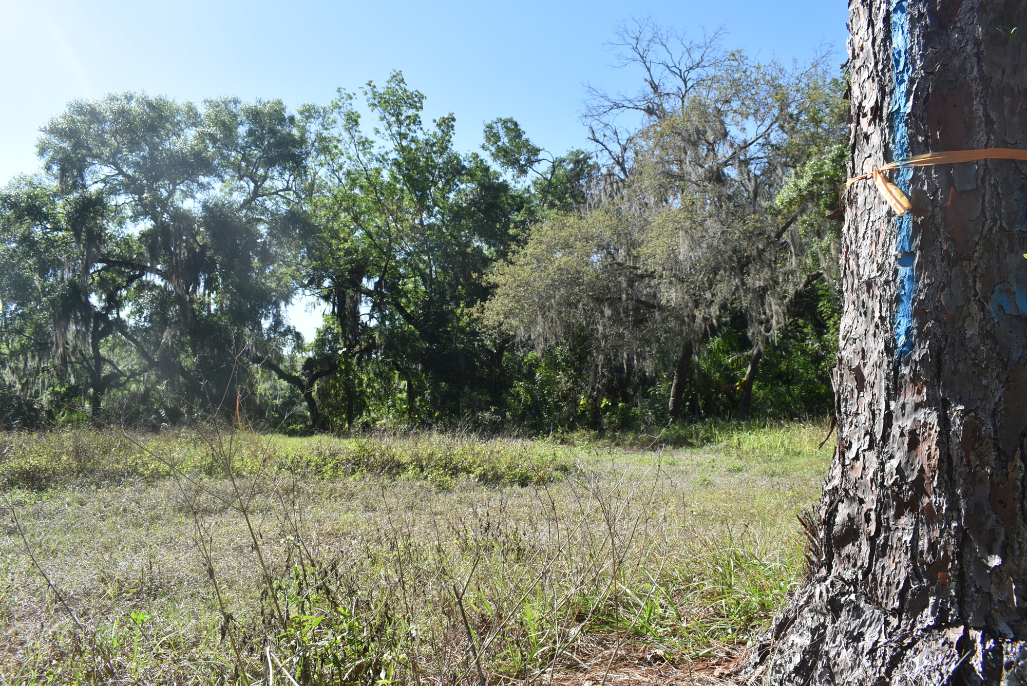 Linger Lodge will build a clubhouse and pool on this piece of land, which overlooks the Braden River.