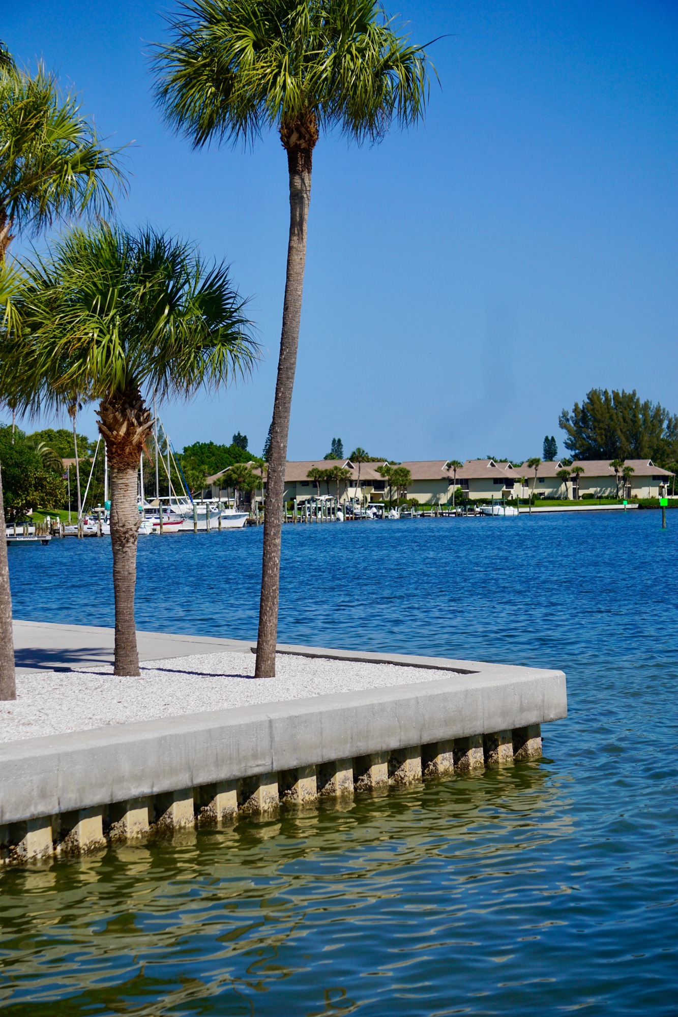 For now, commissioners decided to forego enhancing the seawall at Bayfront Park. There was also consideration of conducting a living shoreline study with the Florida Fish and Wildlife Commission and the Sarasota Bay Estuary Program.