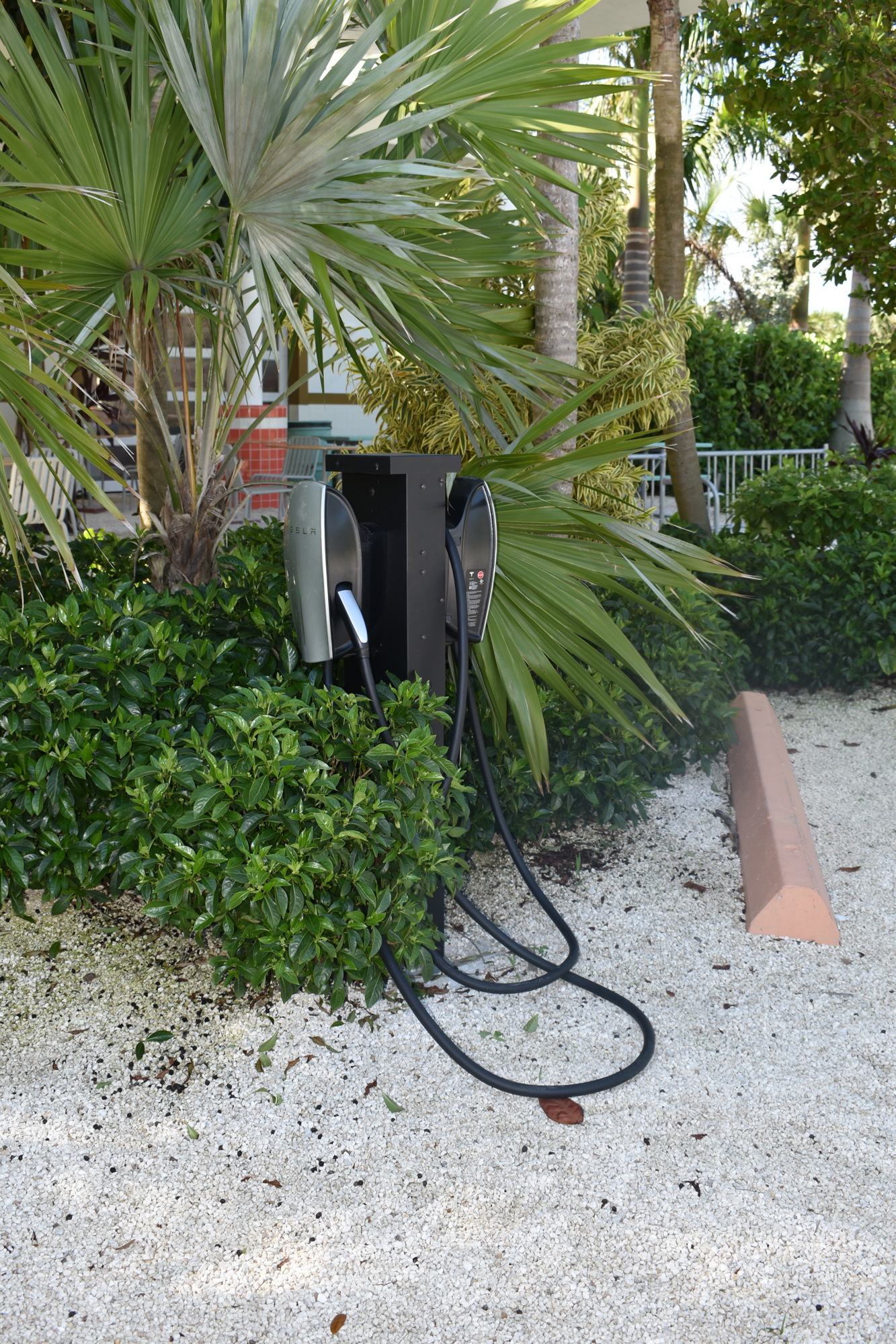 Whitney's at 6990 Gulf of Mexico Drive offers two Tesla electric vehicle chargers for restaurant customers.