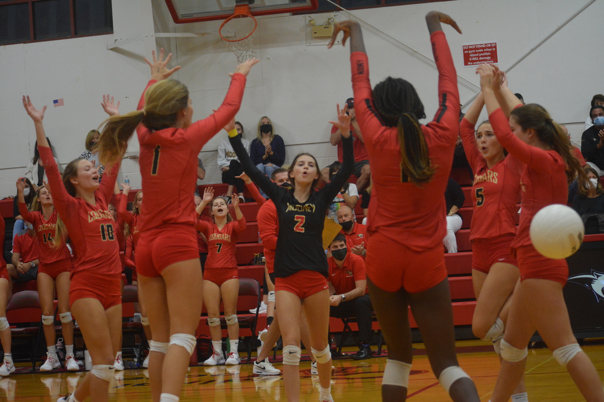 8. Cardinal Mooney volleyball defeated the Community School of Naples in straight sets to advance to the regional finals.
