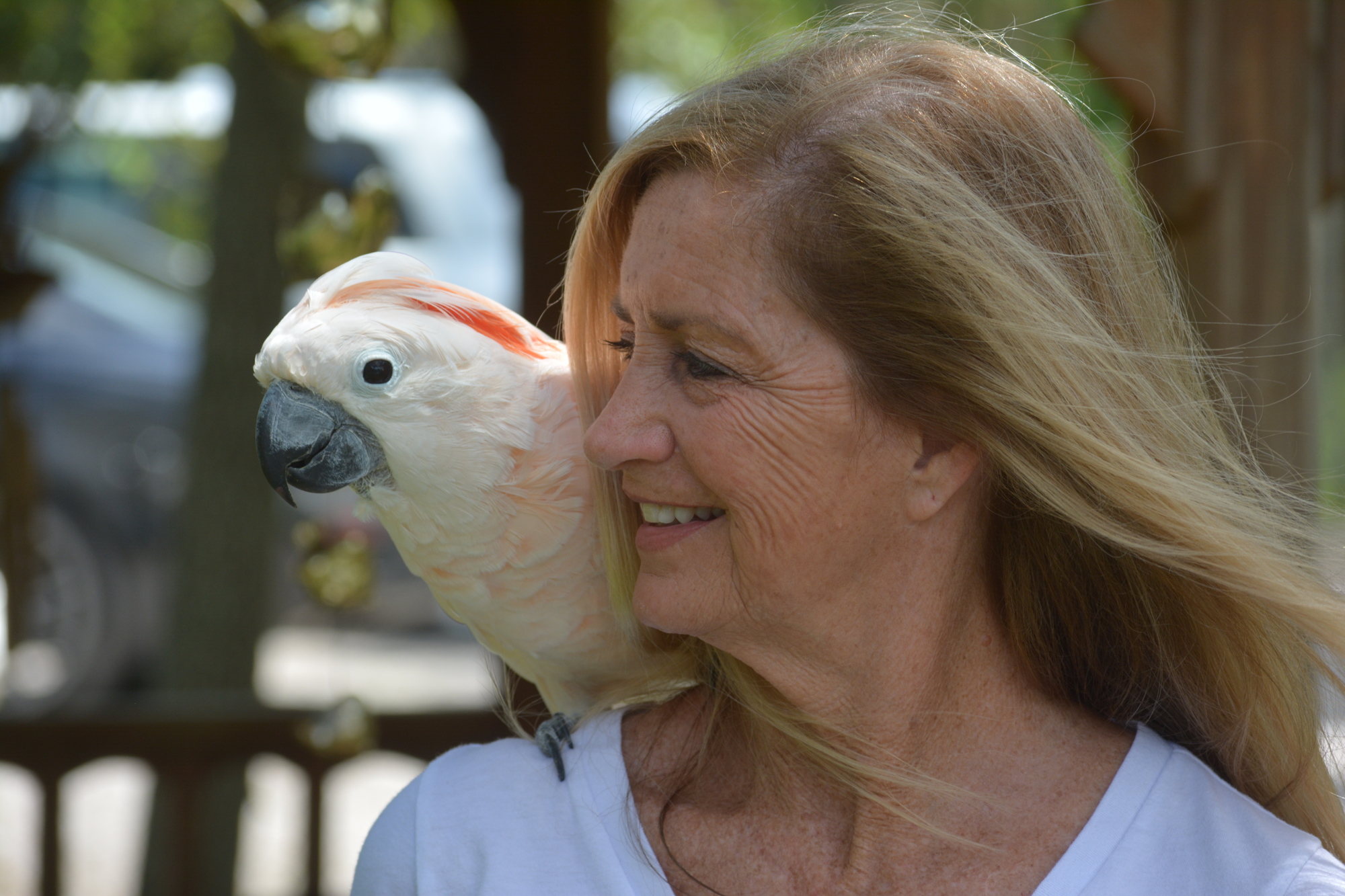 Debbie Huckaby, the executive director of Birds of Paradise Sanctuary and Rescue says people will learn and possibly interact with the birds during a visit. File photo.