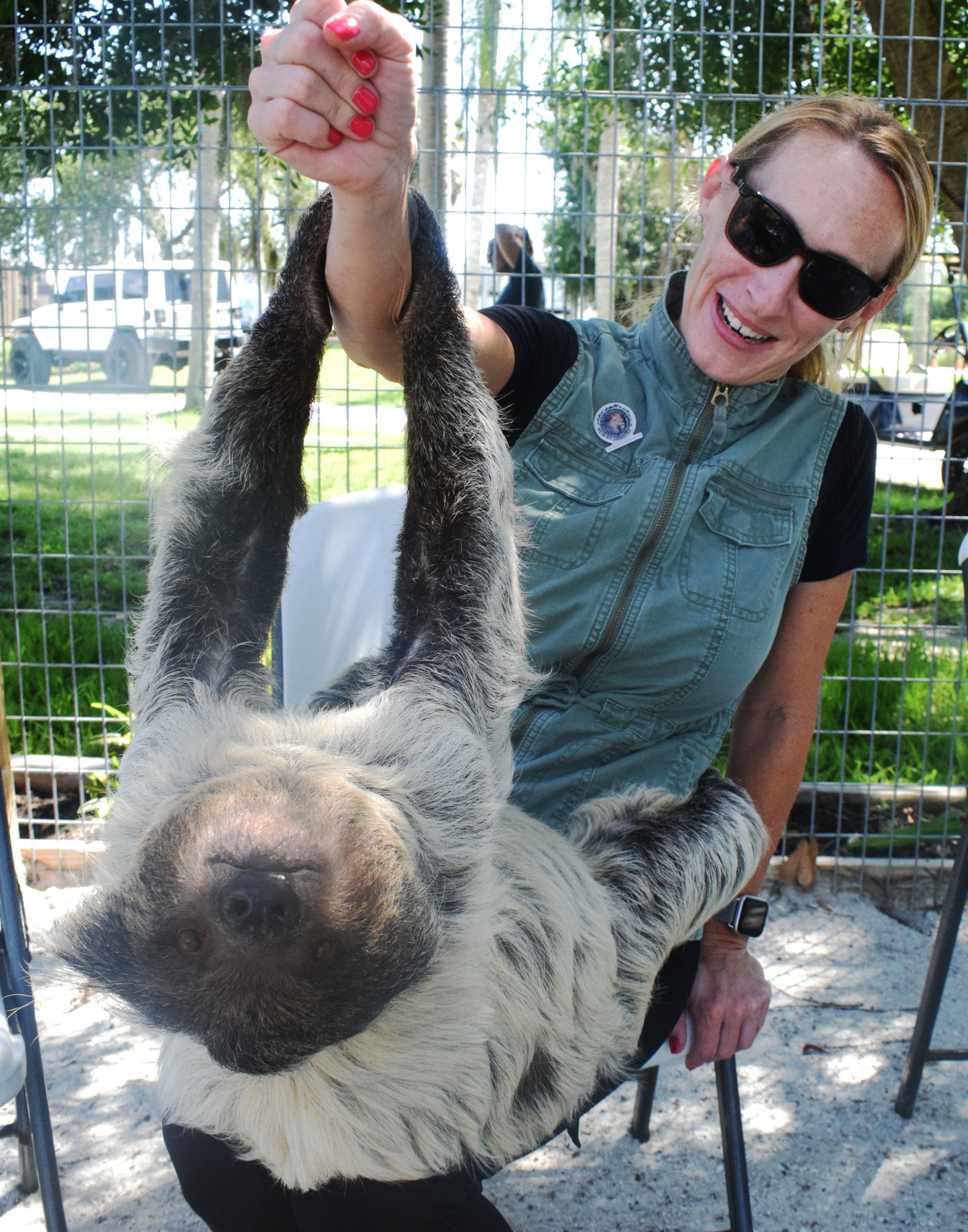 Stella the sloth hangs from the arm of Danielle Rosaire with Big Cat Habitat.