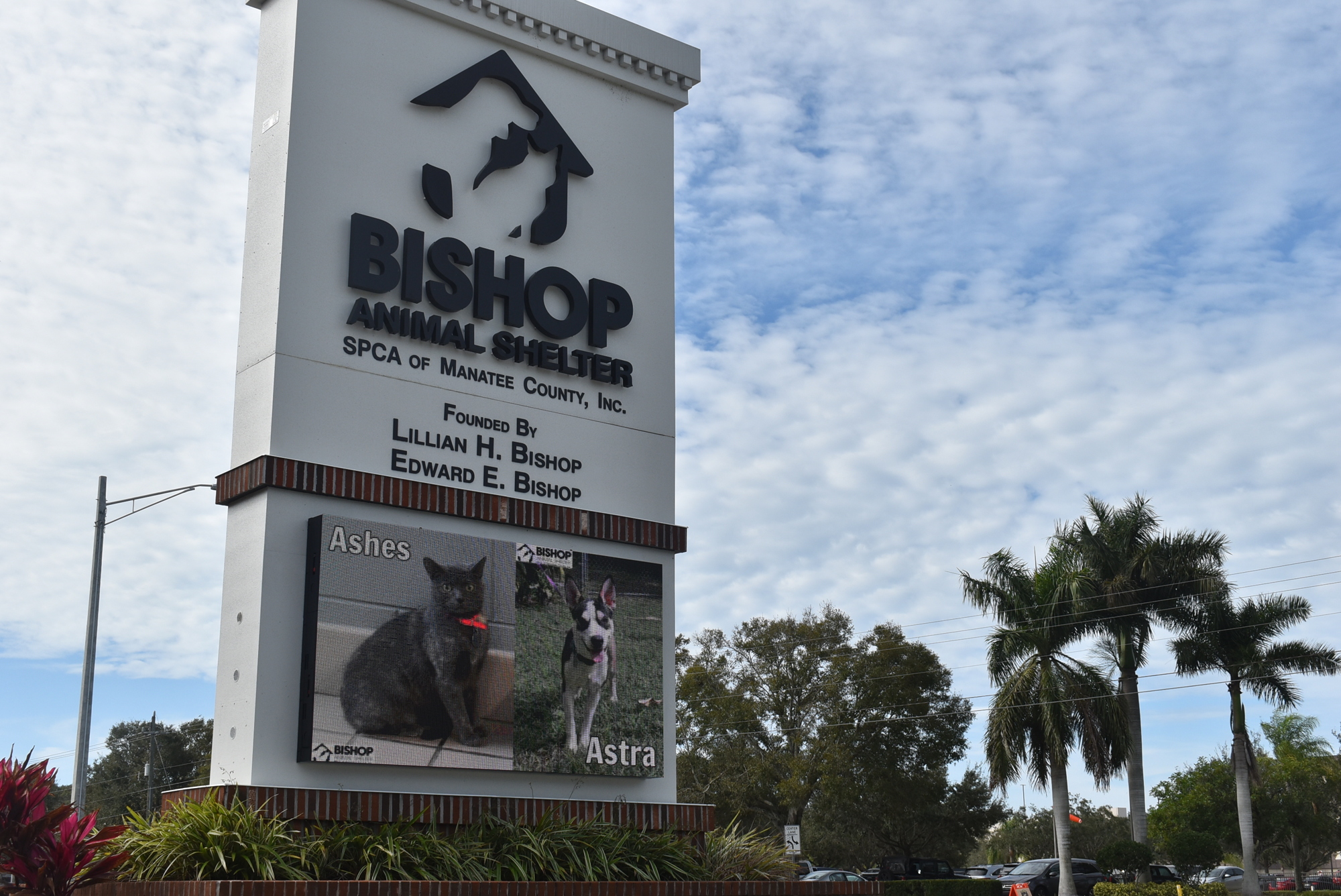 Some commissioners say Manatee County might not need an East County animal shelter because of the donation of Bishop Animal Shelter and its state-of-the-art equipment. File photo.
