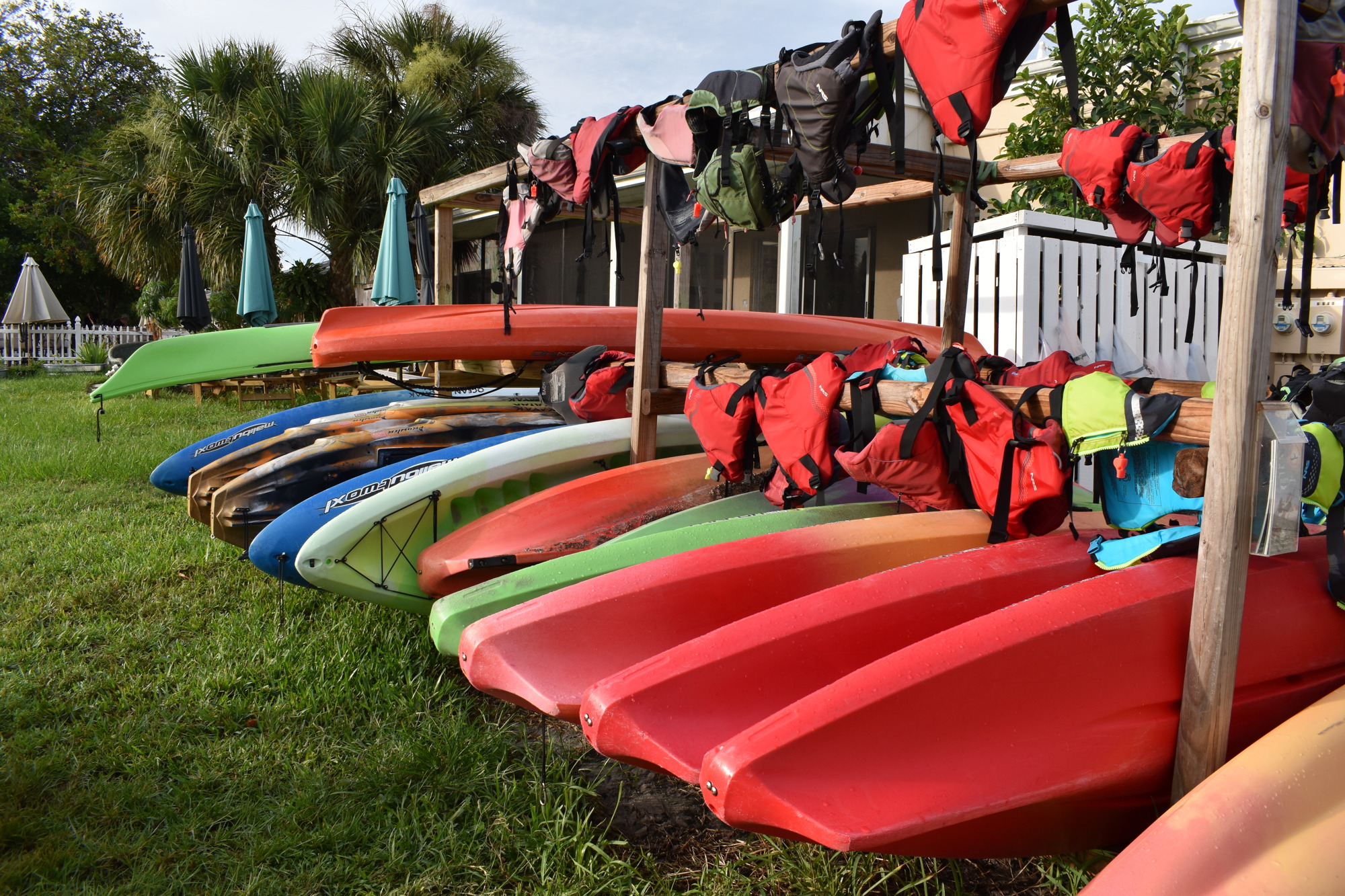 Shane Catts has operated Happy Paddler Kayak Tours since October 2013.