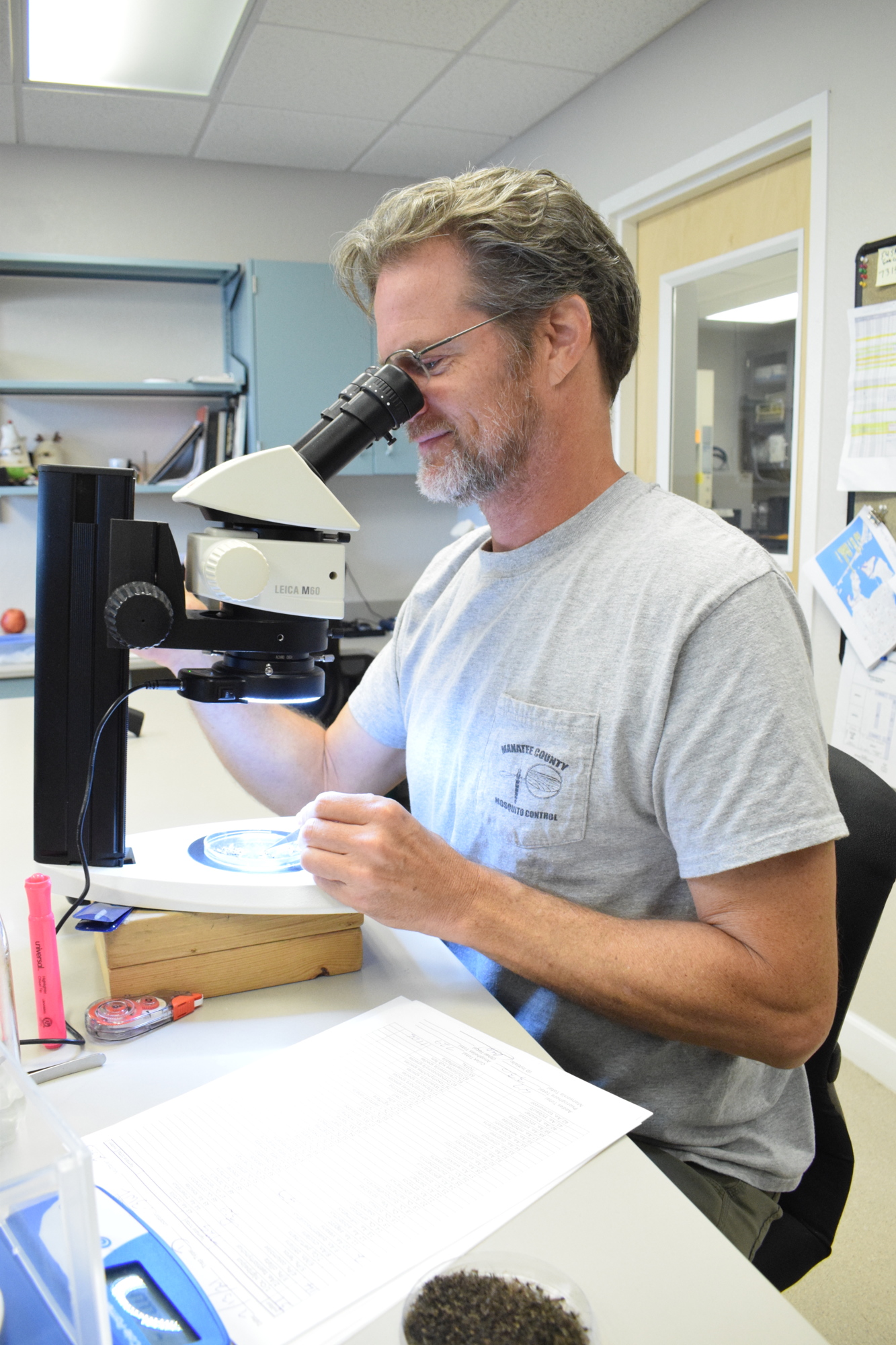 Max Dersch, the entomology manager for the Manatee County Mosquito Control District, analyzes mosquitoes.