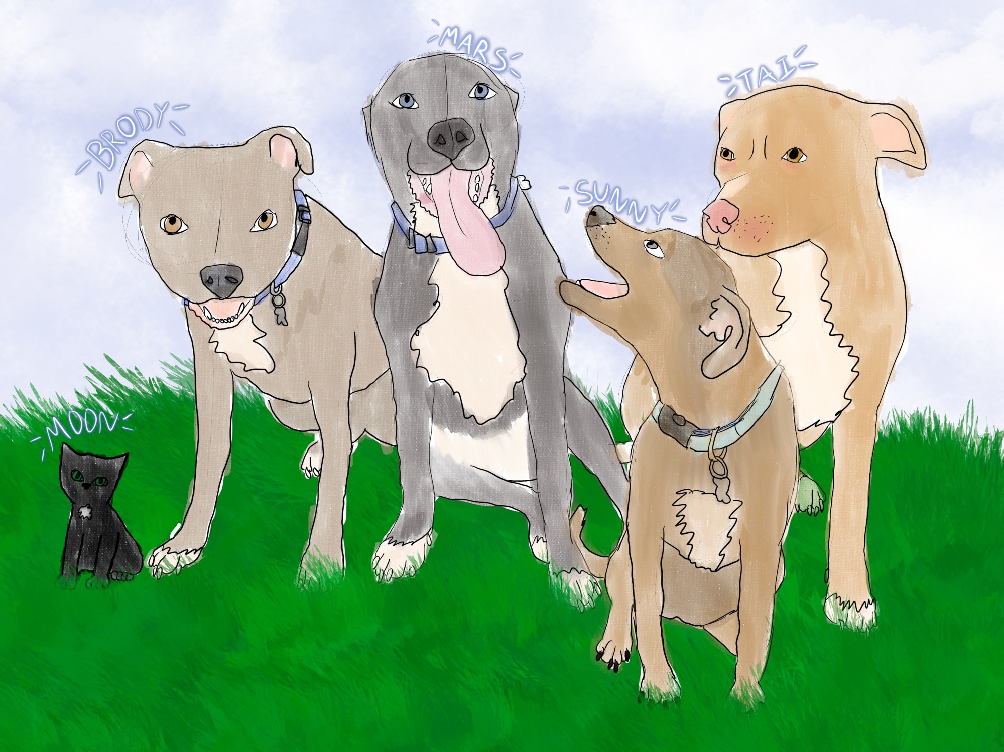 Francesca Bisordi made this drawing for her sister, Jade Satariano, the first she ever made for someone else. It contains Satariano's four dogs and one cat. Bisordi tried to give each of the dogs a distinct personality.