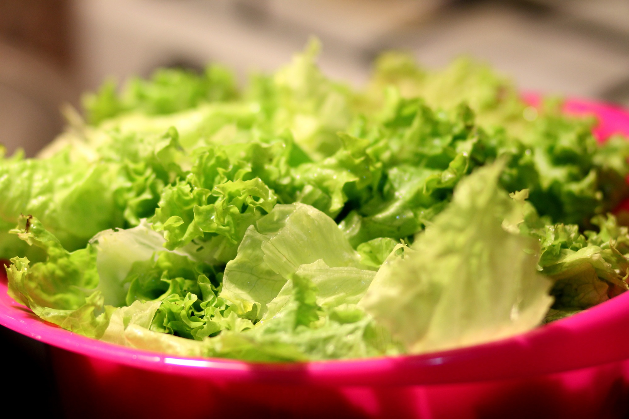 Romaine lettuce. Stock image.