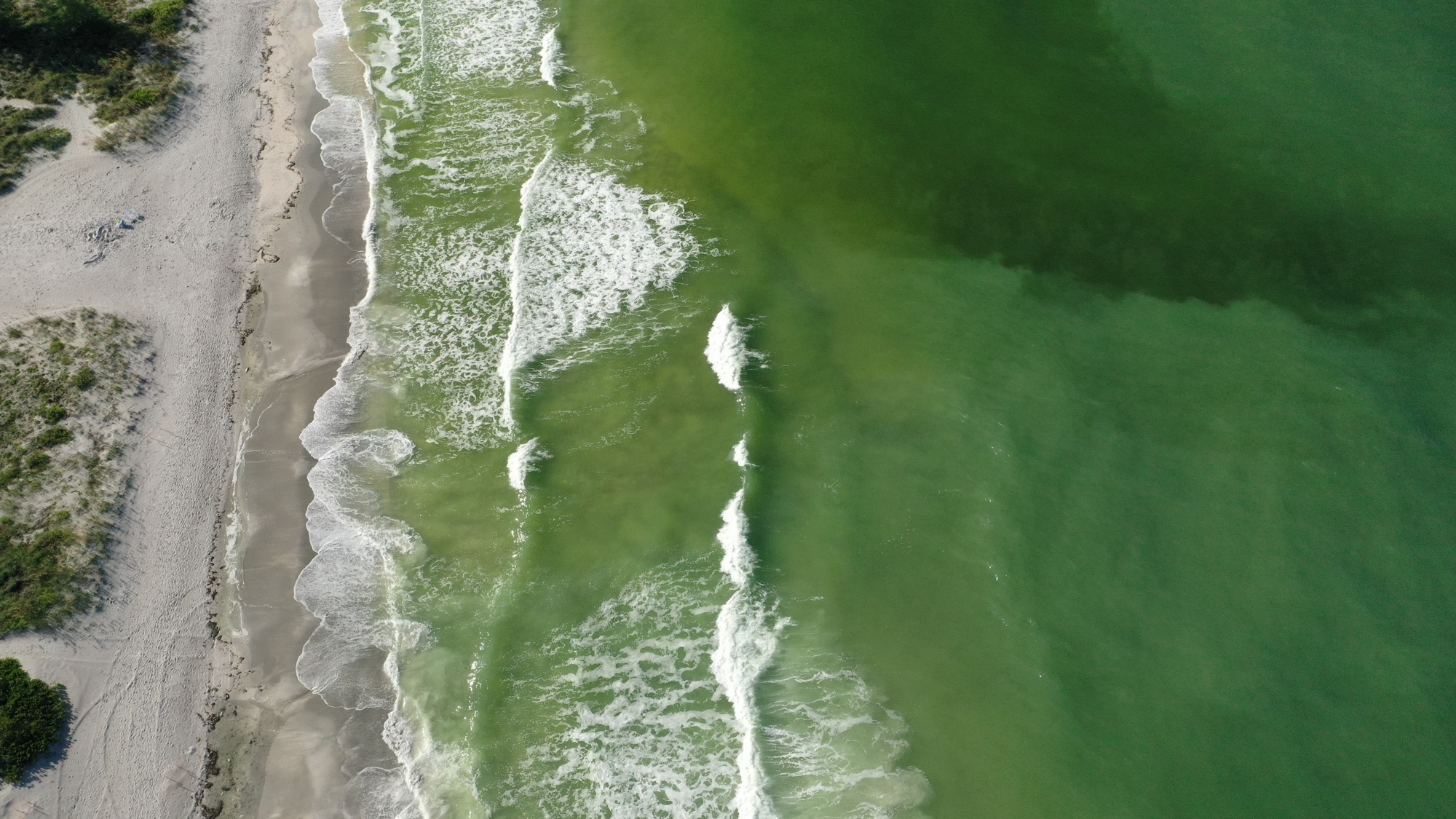 Drone footage captured on Friday by Manatee County crews shows the Gulf of Mexico's red tide conditions right across from Bayfront Park. The darker areas tend to show where concentrations of the red tide algae may be present.