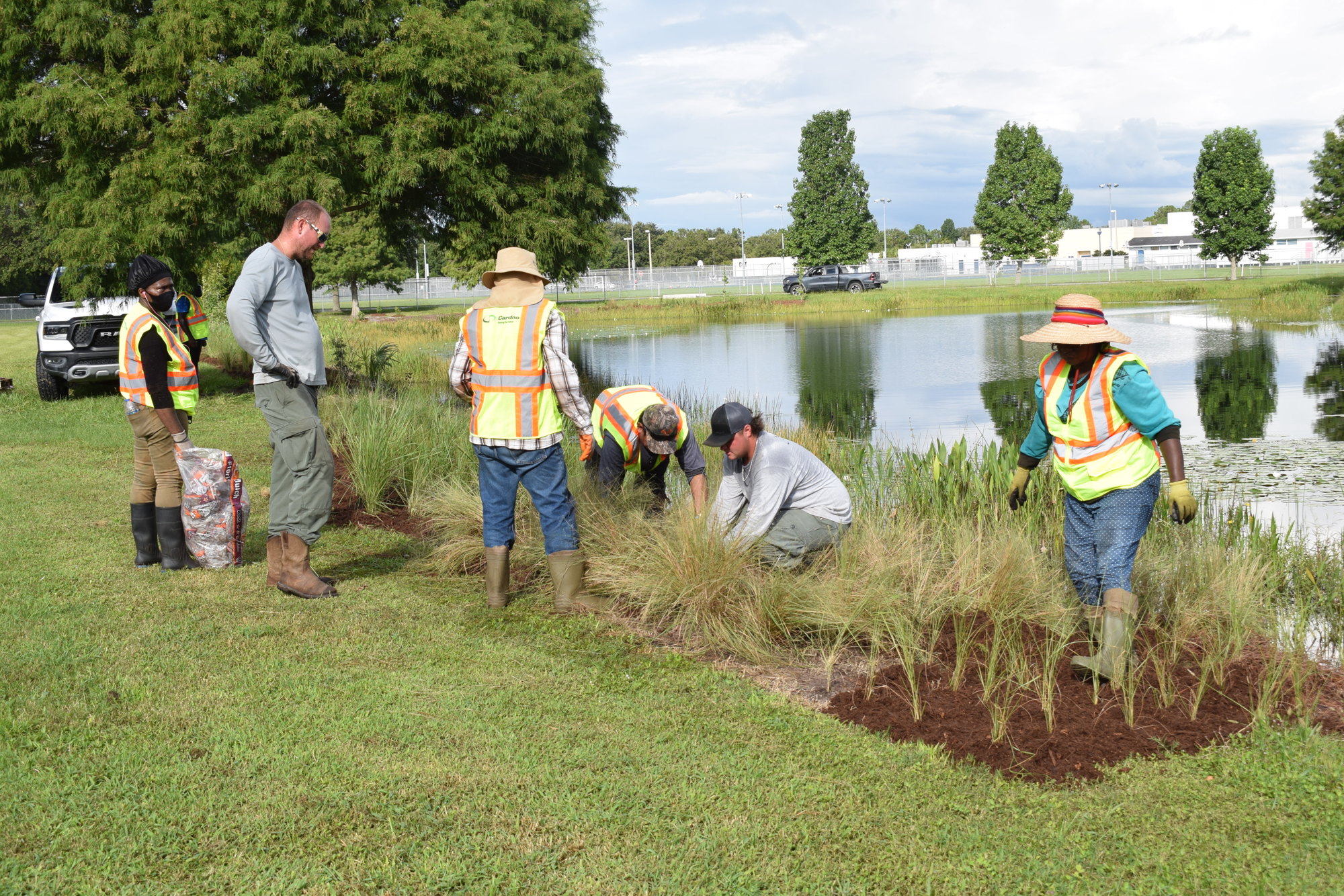 The Cardno crew puts in plants along a pond in Greenbrook.