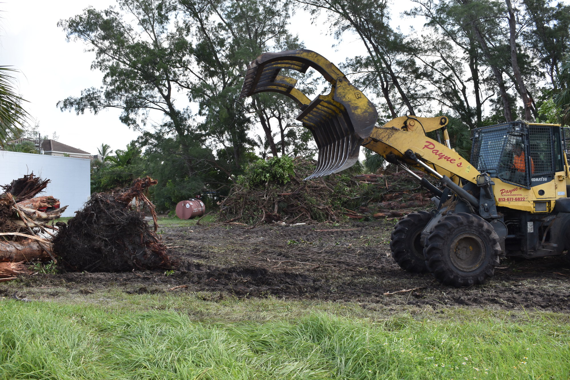 Brista Homes has hired Payne’s Environmental Services for tree removal along Gulf of Mexico Drive and the 597 Buttonwood Drive. The contractor has worked on clearing invasive trees in the last week.