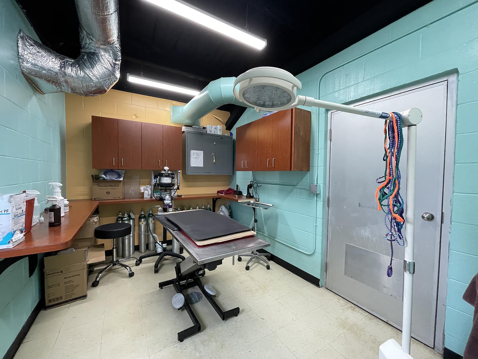 A storage closet was made into a room for surgeries and veterinarian care inside the Manatee County Animal Services shelter in Palmetto. The ceiling in the room had to be removed due to a rat infestation. Photo by Scott Lockwood