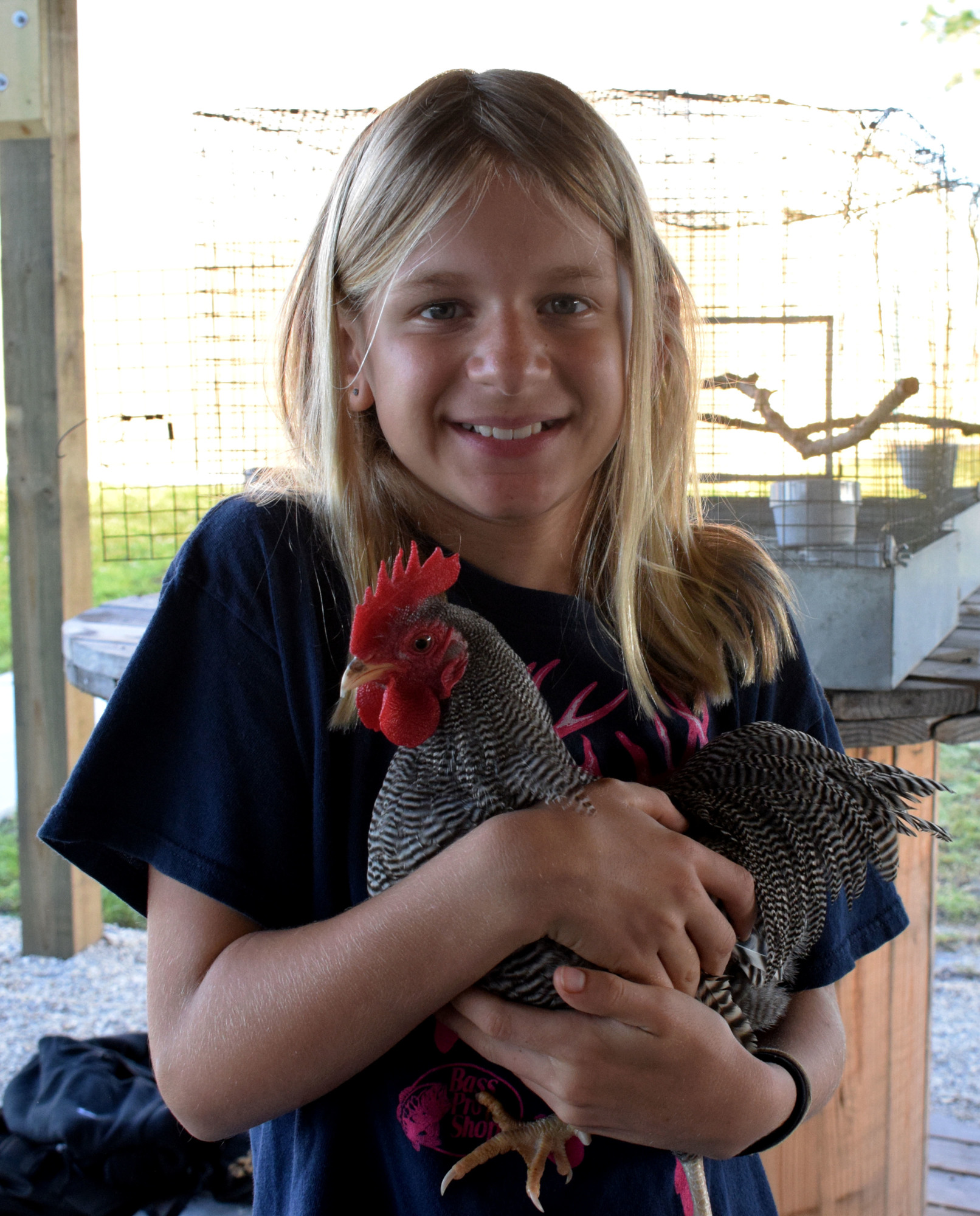 Grace Lockhart, a fifth grader, will show a chicken at the Manatee County Fair. She cares for the chicken at the school's new barn, which was built for a new agriculture science program.