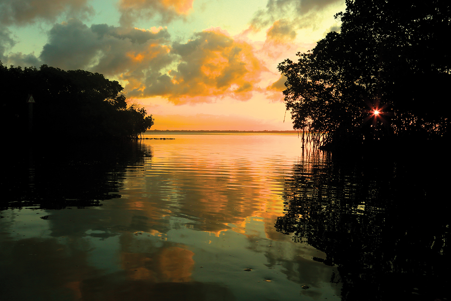 John Caviglia captured this sunrise shot from a kayak on a canal off Longboat Key.