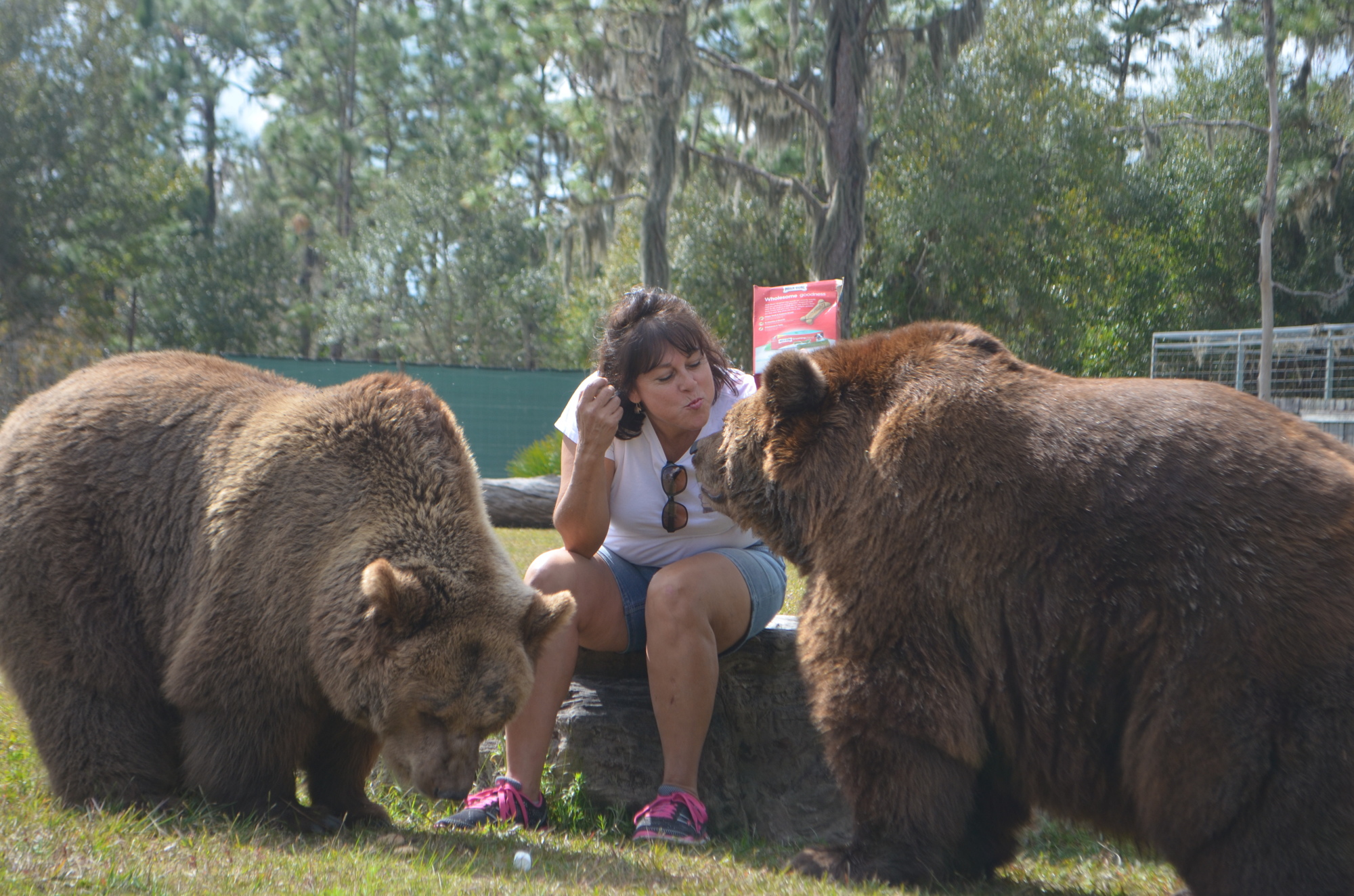 Monica Welde, shown with her bears Carrol and Andy, will keep Bearadise open with her family.