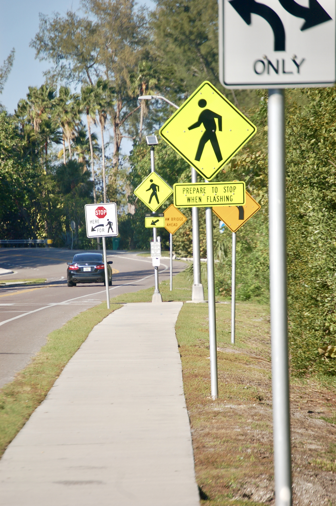 A crosswalk signal stands a few hundred yards north of the intersection of Gulf of Mexico Drive and Broadway Street.