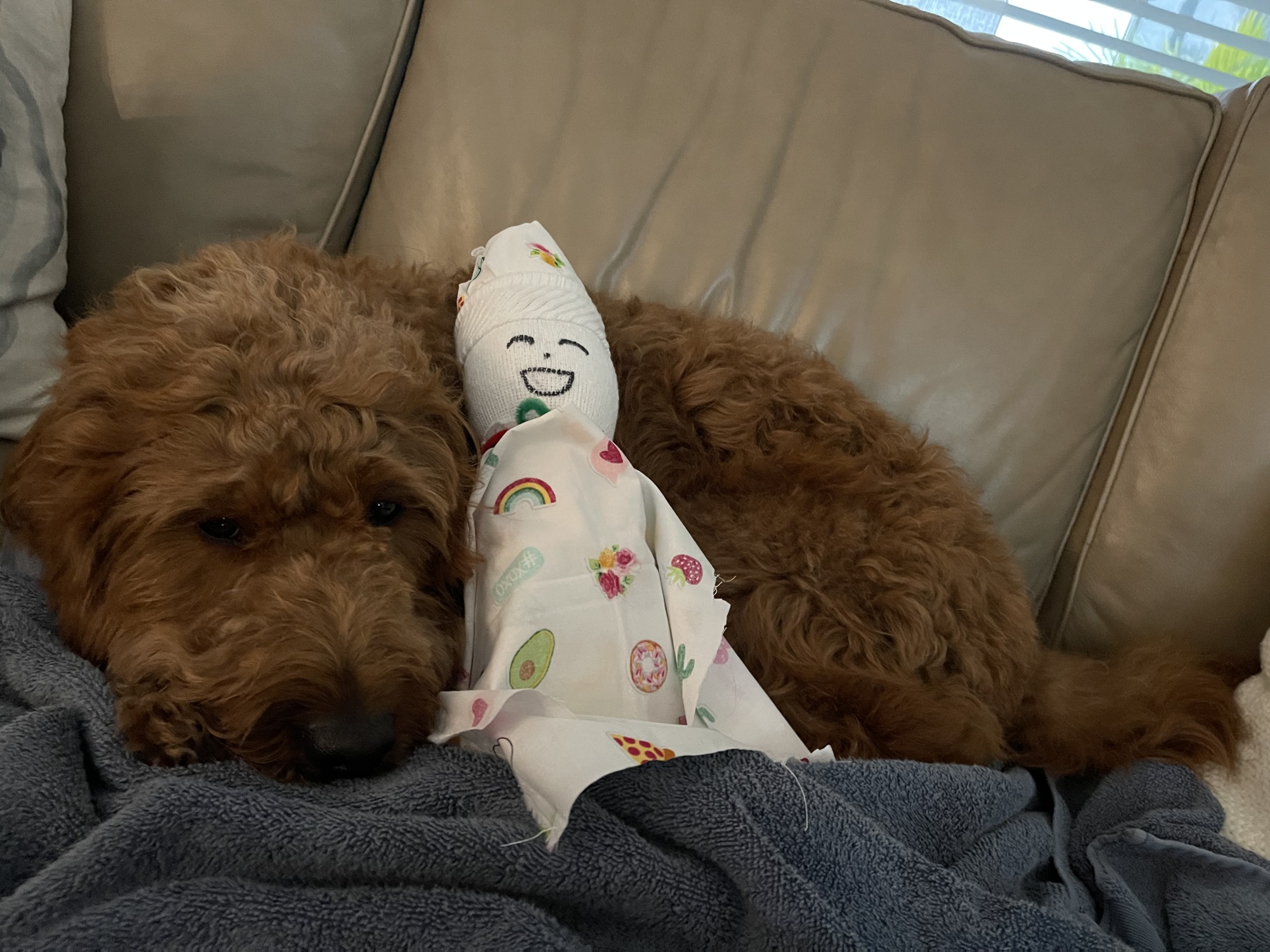 Junior Faith Pruszinske's sock baby, Thomas W. Pruszinske, snuggles with her dog Willie. Courtesy photo.