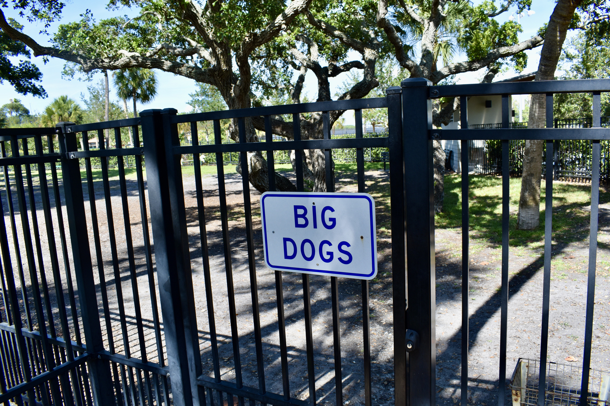 After a summer resod in 2021, broad swaths of dirt have returned to the Bayfront Park dog park.