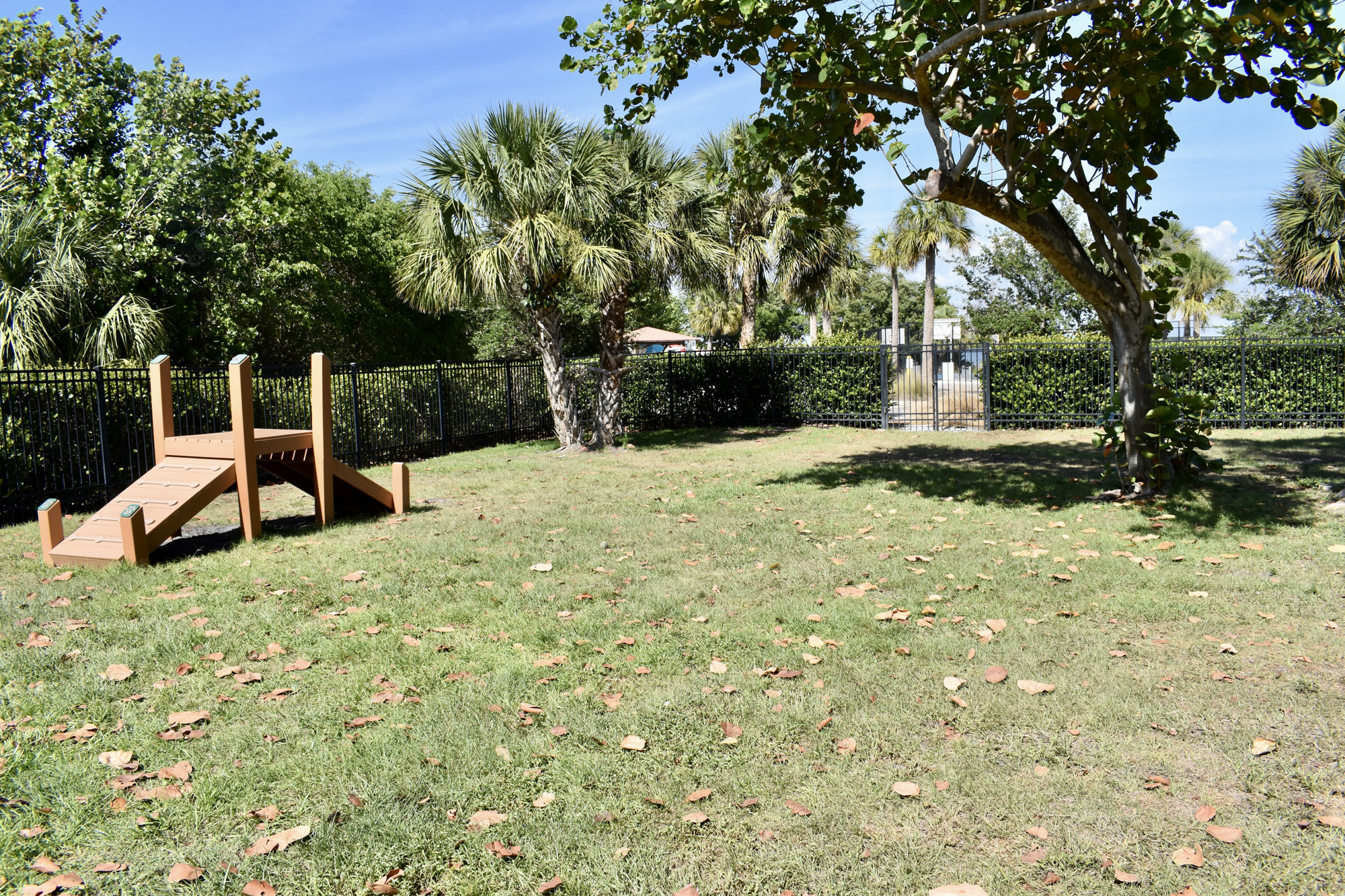 About a quarter of the dog park will remain with natural grass, which has thrived in areas of sunshine.