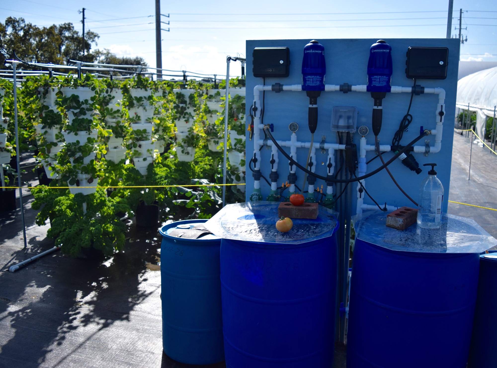 Part of the Bekemeyers’ hydroponics system. Water and nutrients such as calcium are stored in the barrels and distributed via pipes and tubes to the various vertical structures to nourish the growing produce.