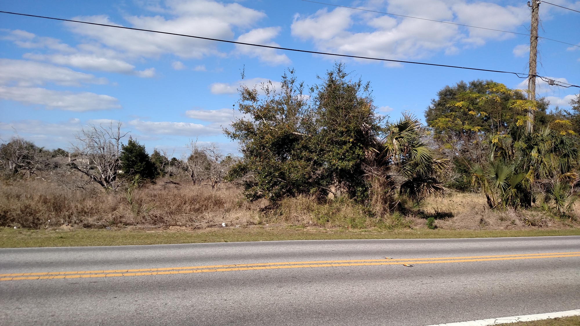 Gotha might have no larger piece of undeveloped land than a plot on Moore Road between Seventh Avenue and Old Army Road.
