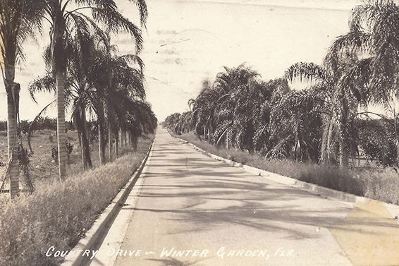 HISTORY-WGHF Postcard Country Drive