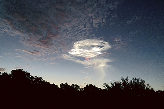 ILWO 9-7-15 Whitehead Launch