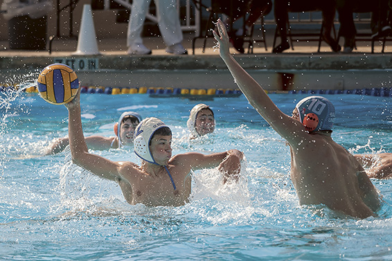 WATER-POLO-Max WOT