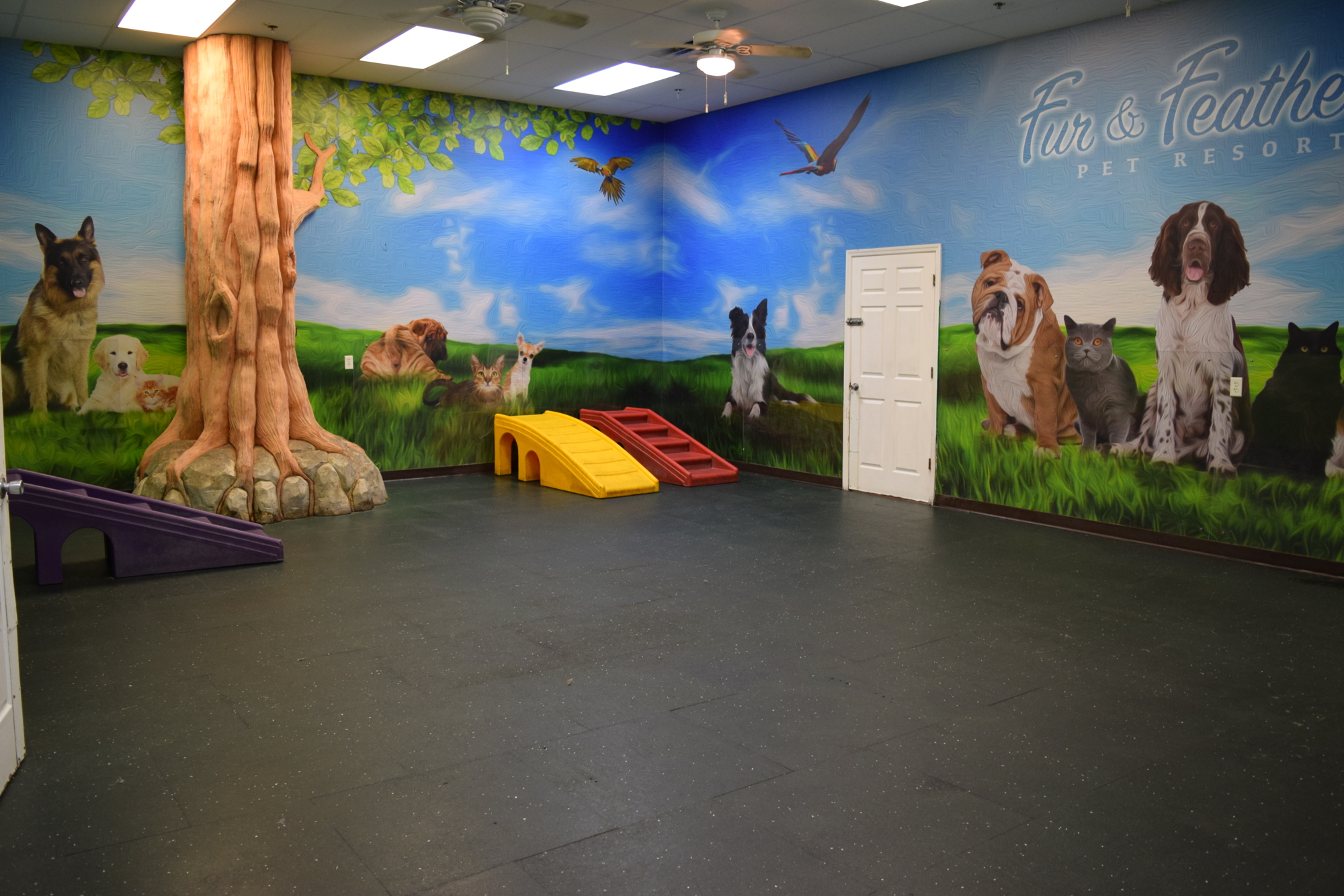 Fur & Feathers Pet Resort owner Darren Korito said the facility has two separate playrooms for small and big dogs.