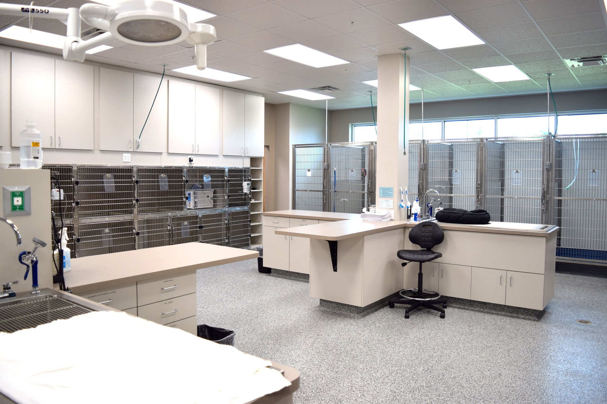 VEC’s Oakland location is fully equipped with lab equipment, X-ray capabilities, oxygen, anesthesia and more.