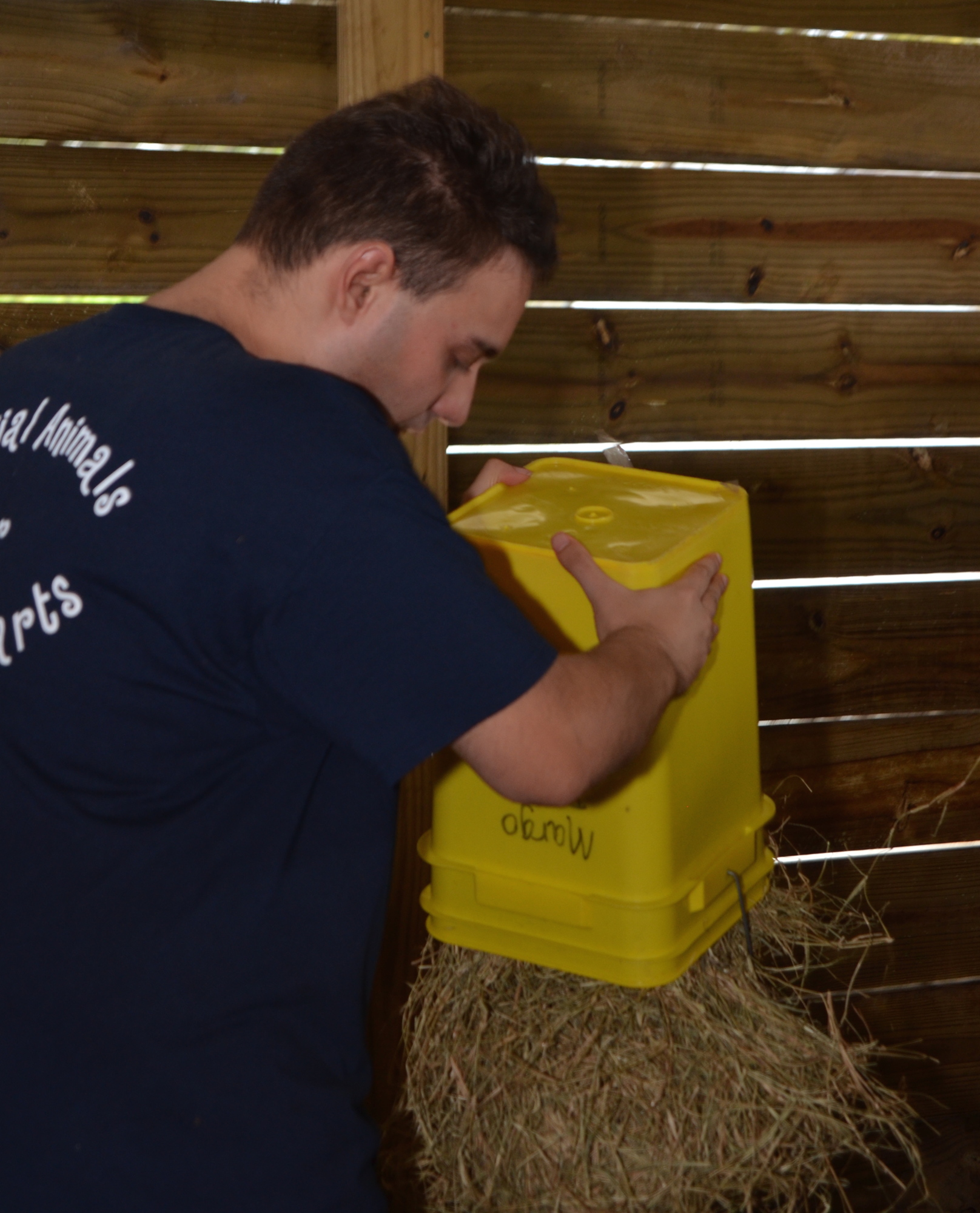 Phillip Keller carefully performs his barn duties.