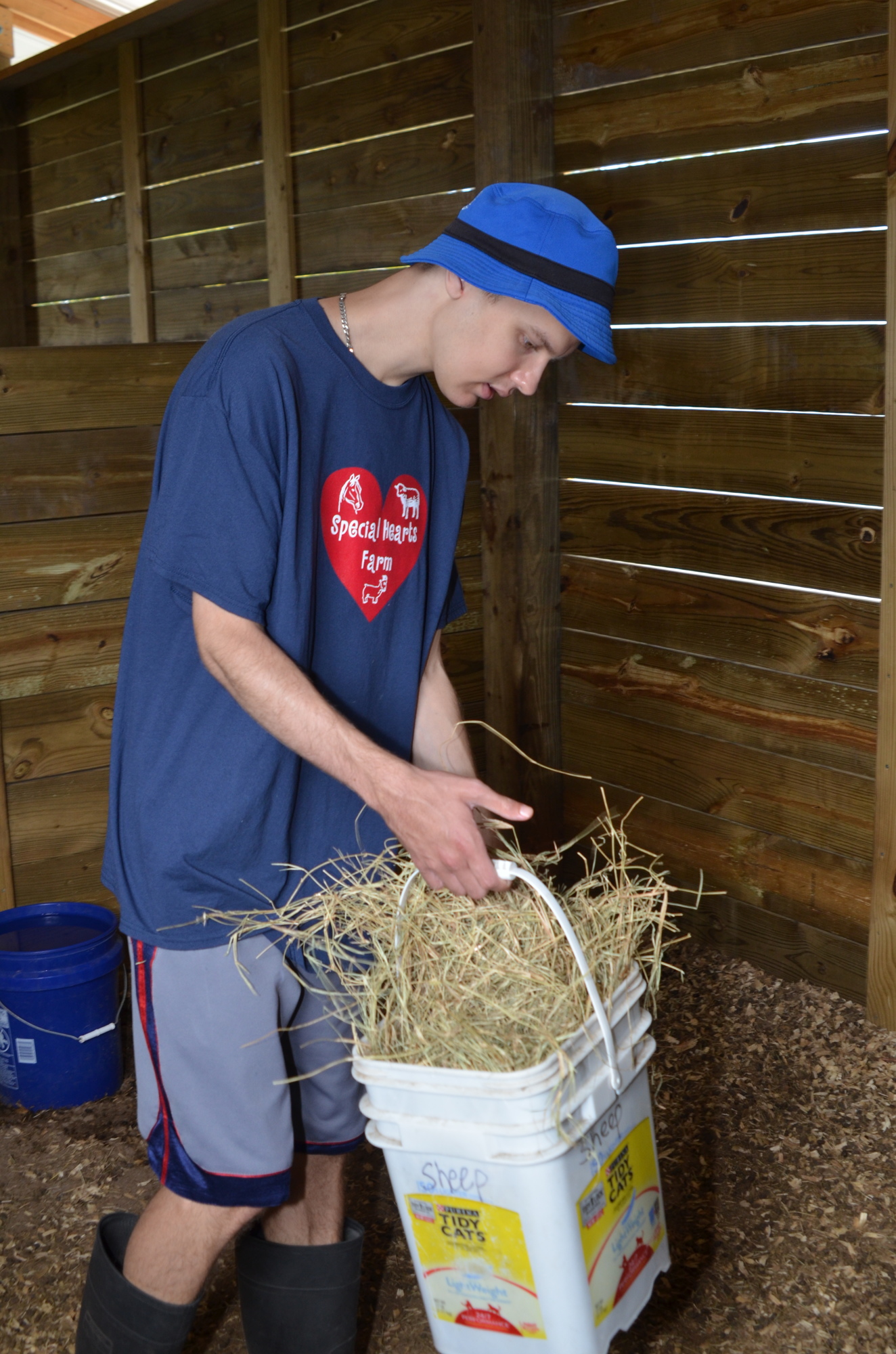Cameron Meena prepares to put out fresh hay.