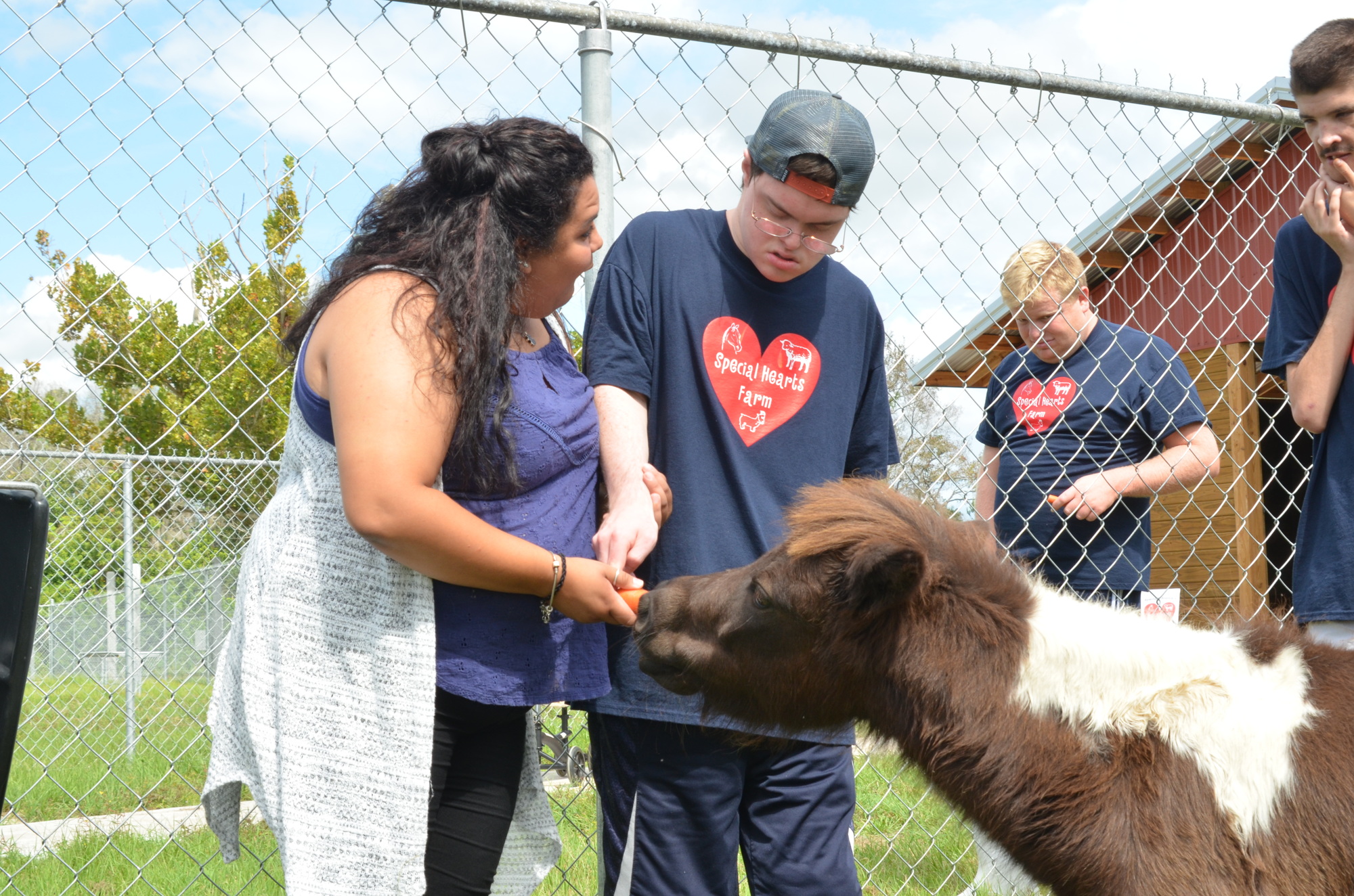 Companion Tami Martin helps Luke Byerly feed the miniature horse.