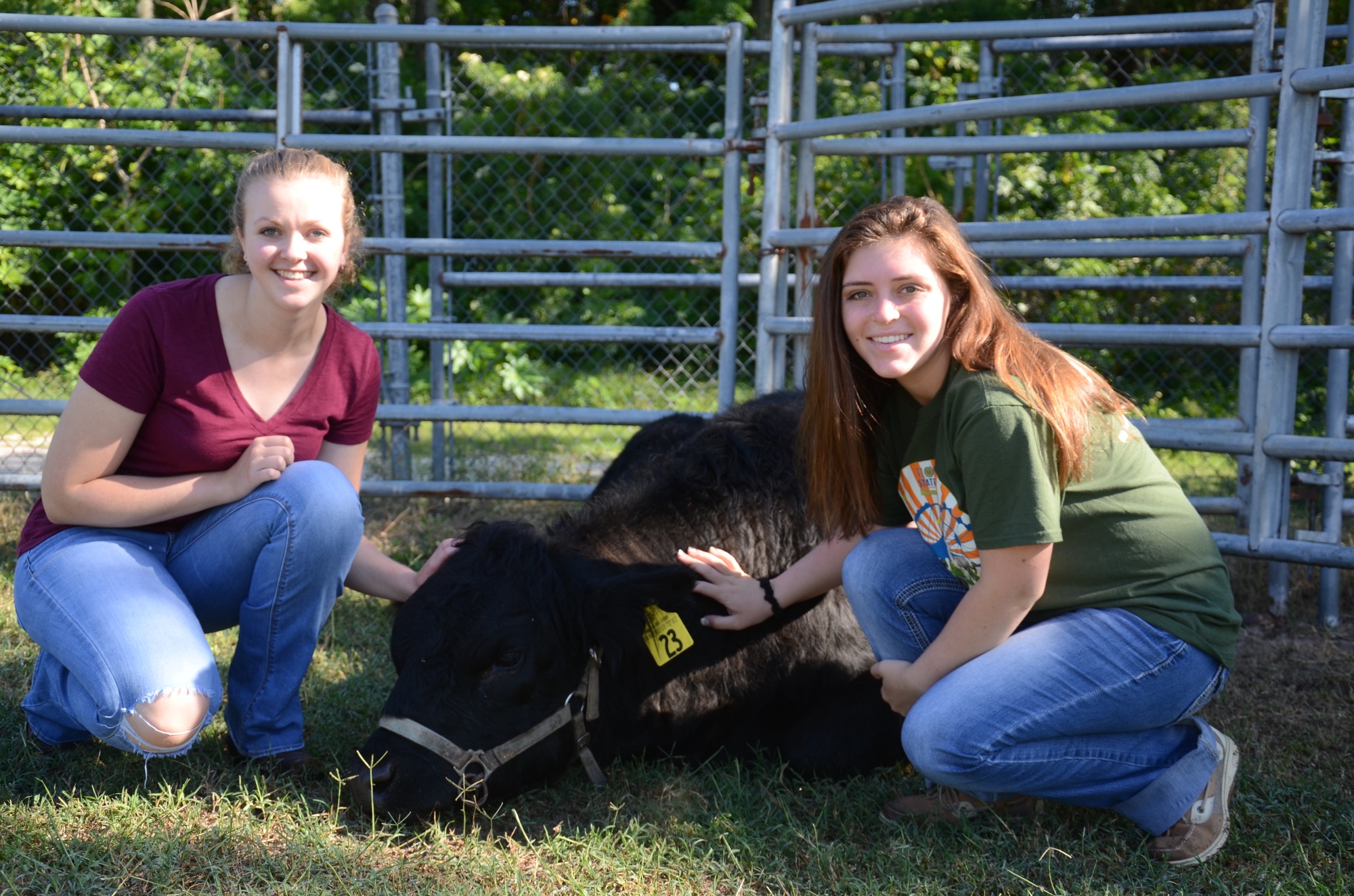 Mattie Crabtree and Alyssa Stewart with a steer.