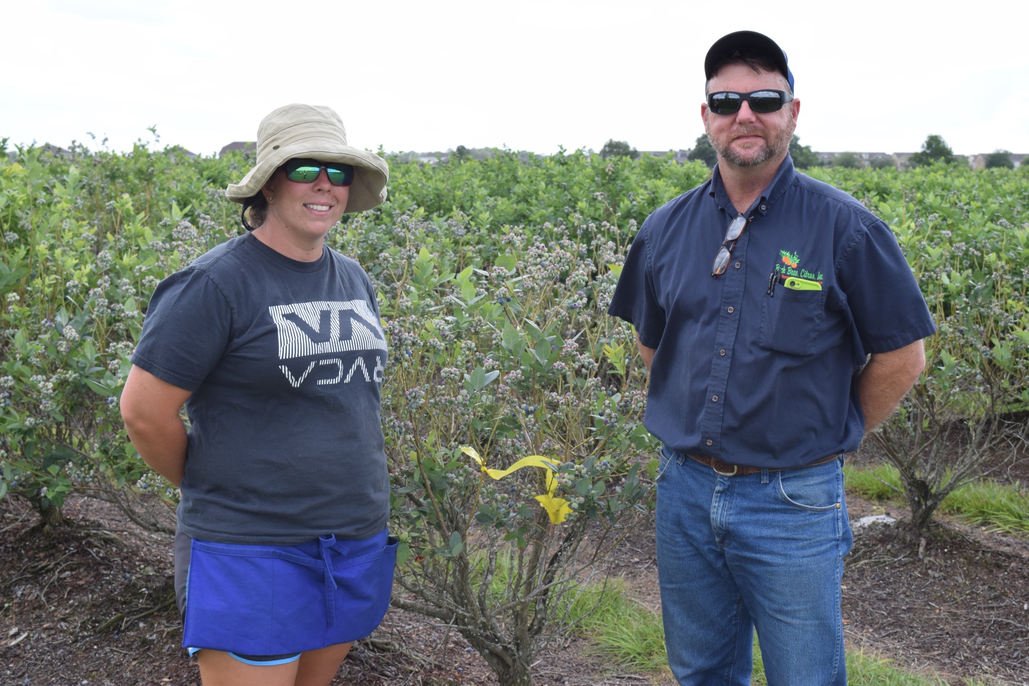 Tiffany Langford and Glenn Beck help run the Beck Brothers Blueberries U-pick farm near Windermere.