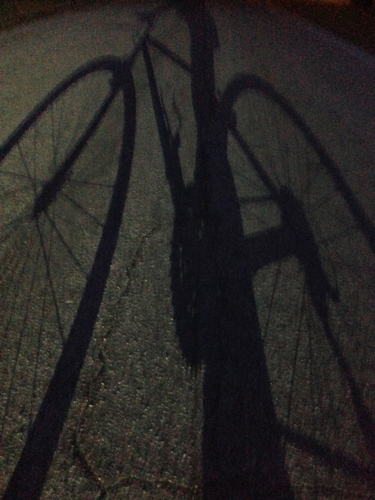 This is a picture of the shadow of her dad's bike.
