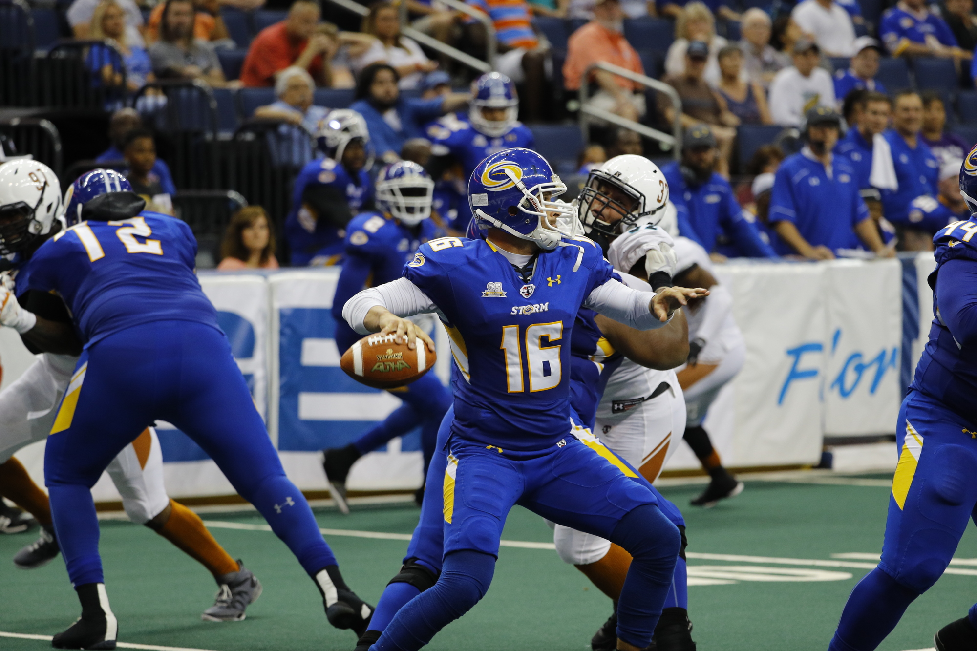 Jason Boltus is in his second season as the quarterback for the Tampa Bay Storm of the Arena Football League. Photo courtesy of Scott Audette / Tampa Bay Storm.