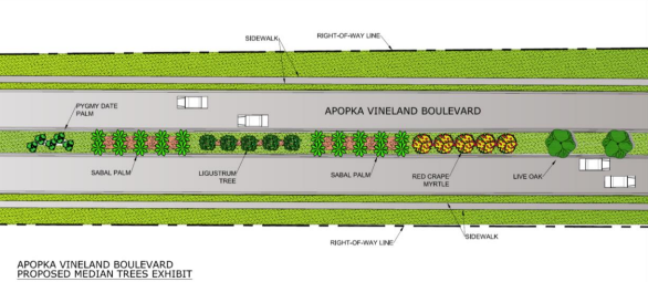 A look at what the medians on Apopka-Vineland Road could look like, per the county's preliminary design plans.