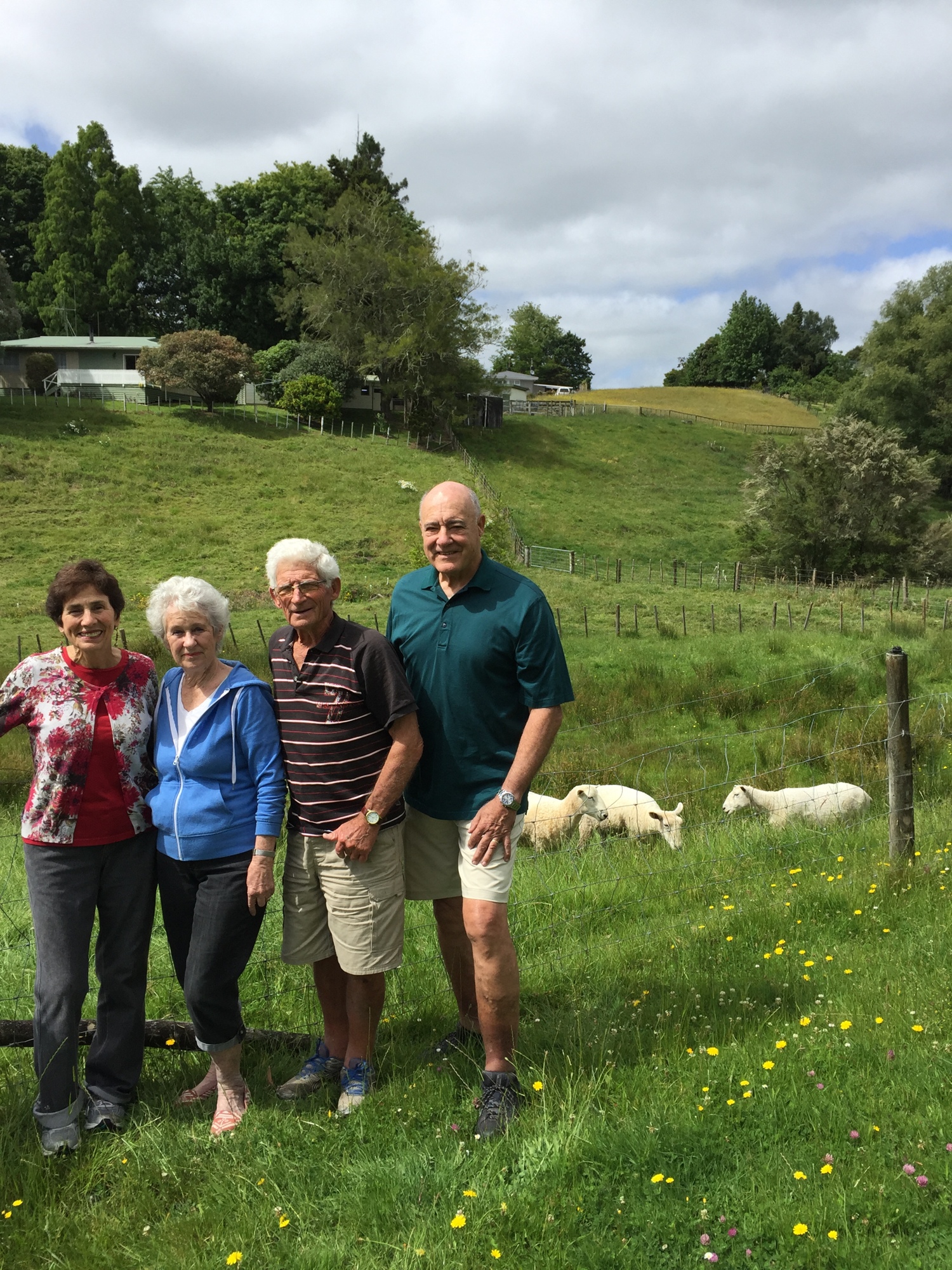 Karen Brown, left, and her pen pal, Robyn Chrystal, started writing letters to each other in 1951. They and their husbands, Laurie Chrystal, center, and Art Brown, tour the Chrystals' sheep farm in New Zealand.