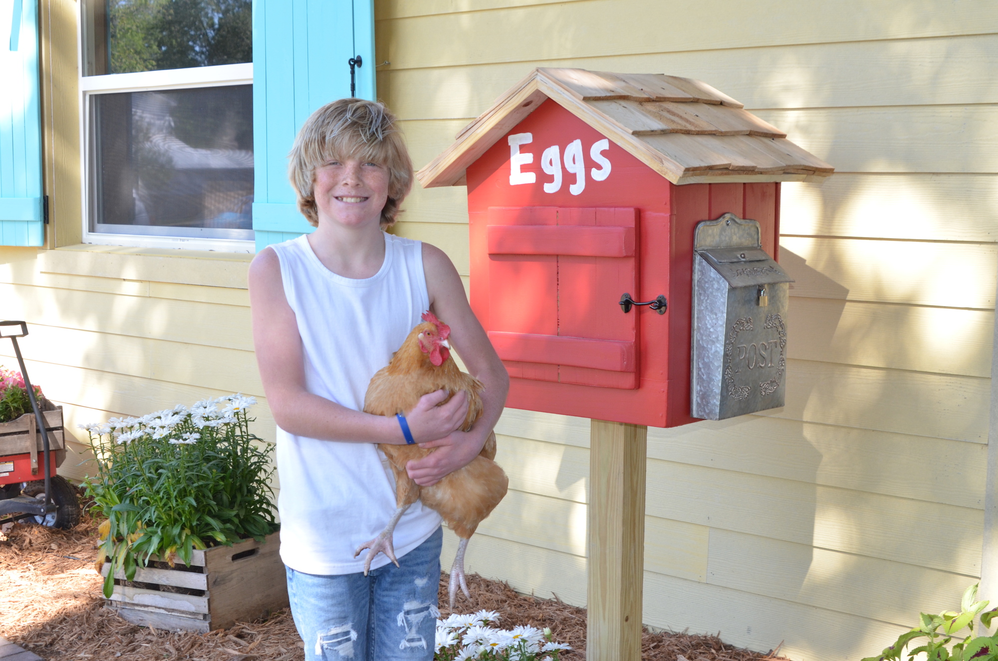 Tristan Milliken sells the eggs from his two ducks and 13 chickens.